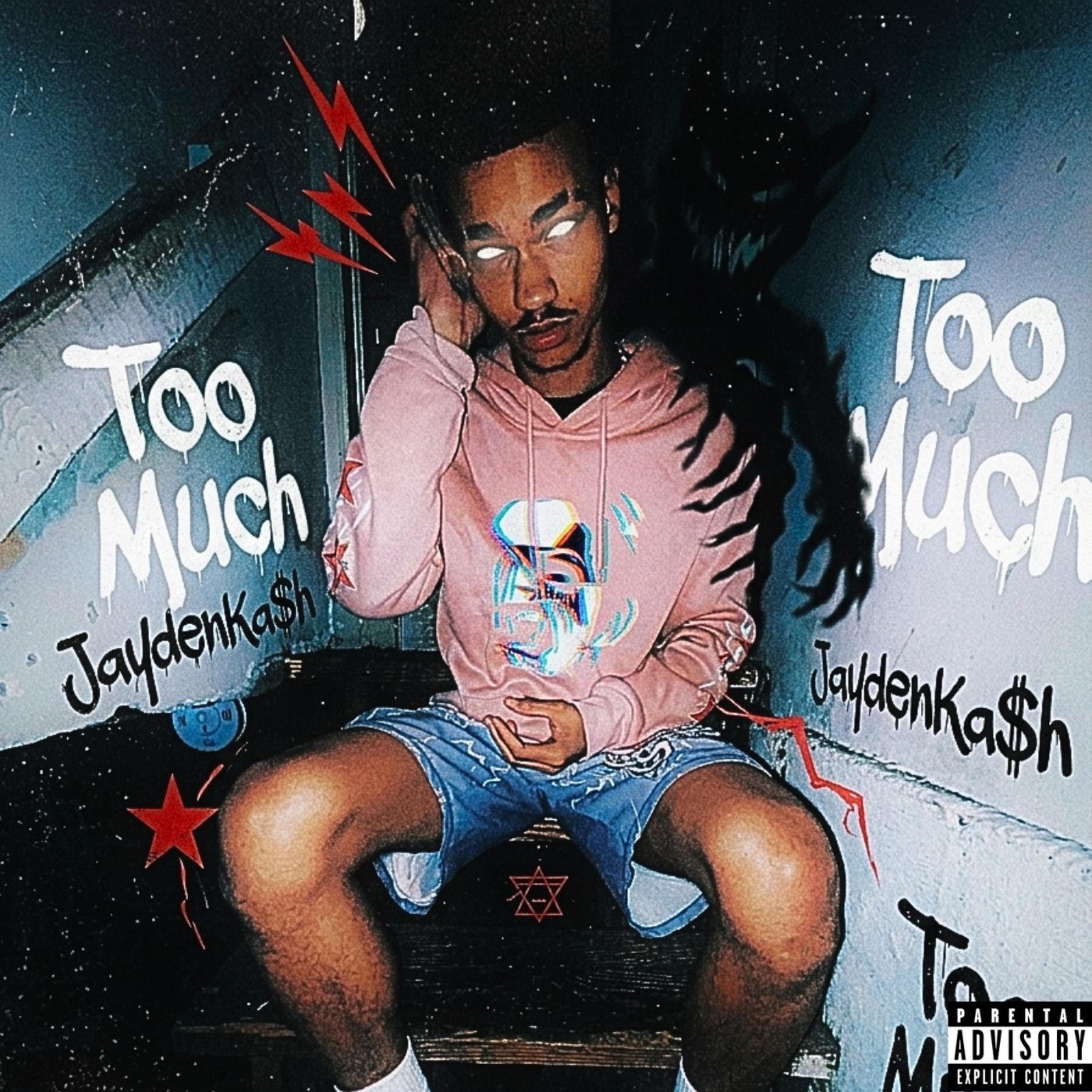 Too Much by JaydenKa$h cover art