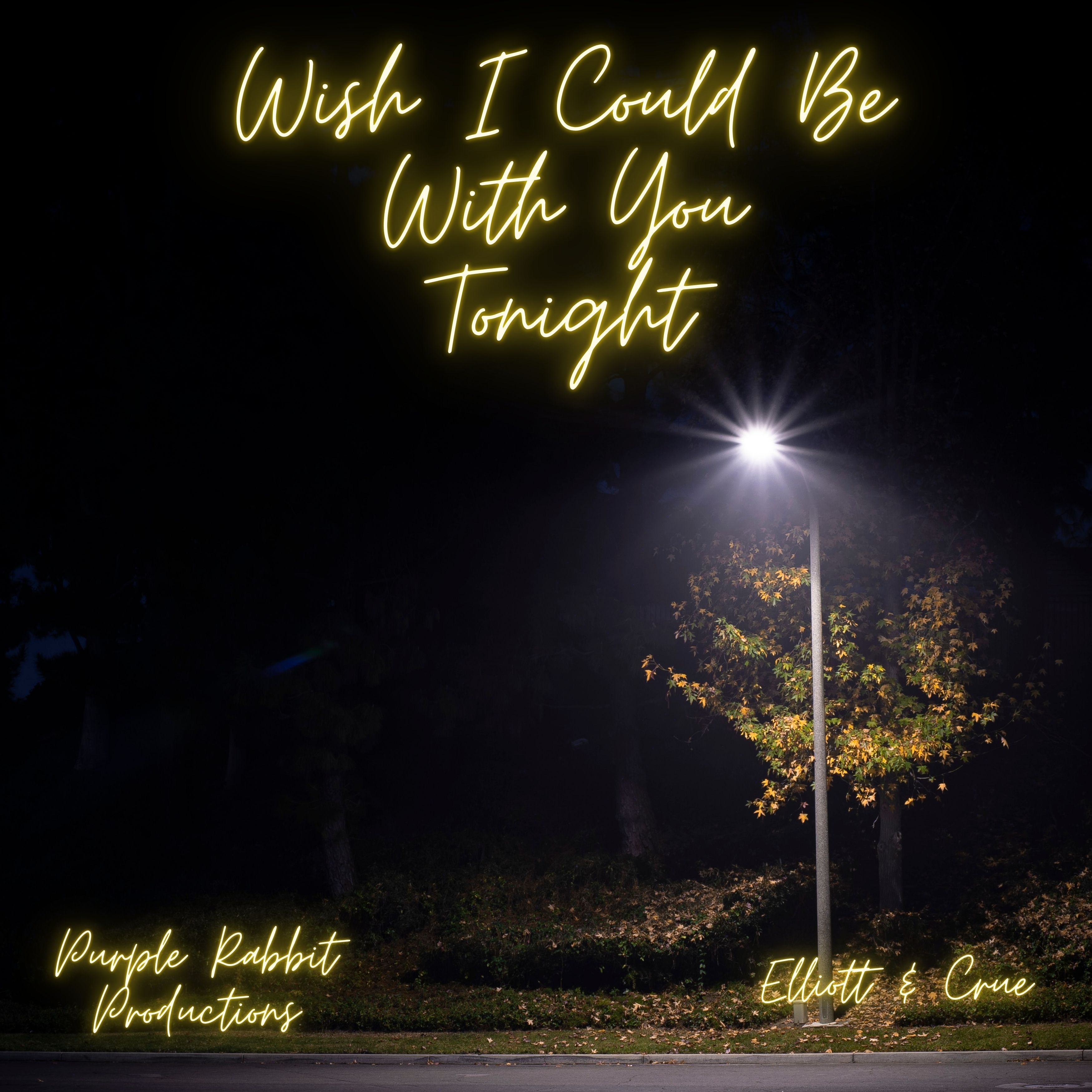 Wish I could Be With You Tonight artwork