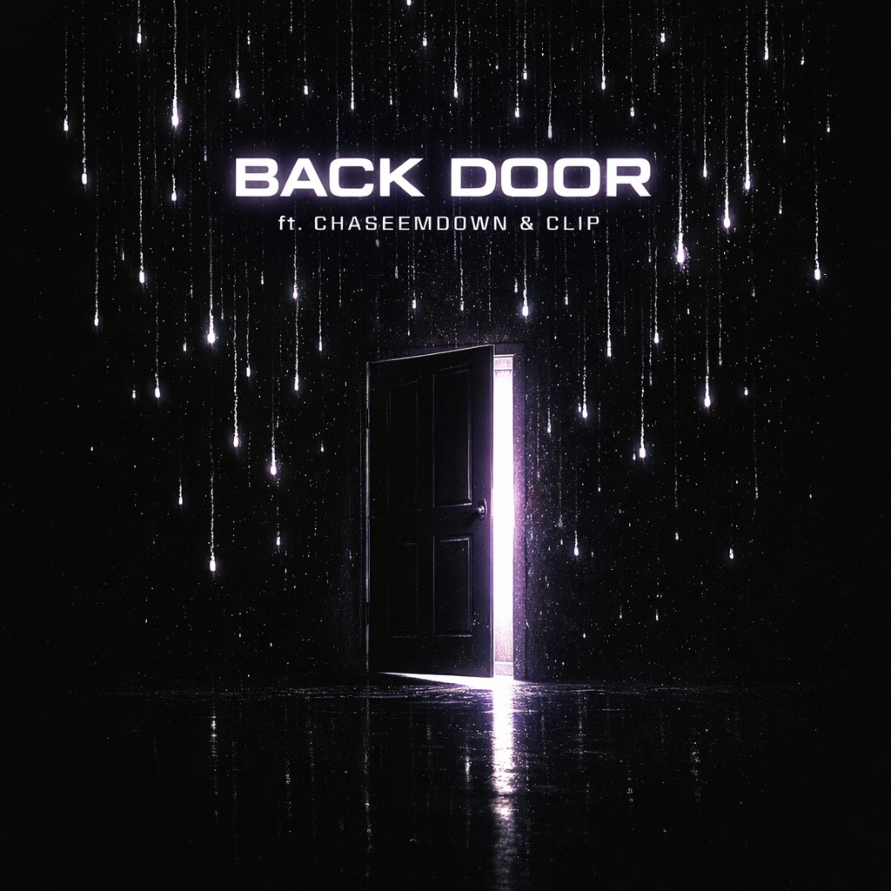 Back Door artwork