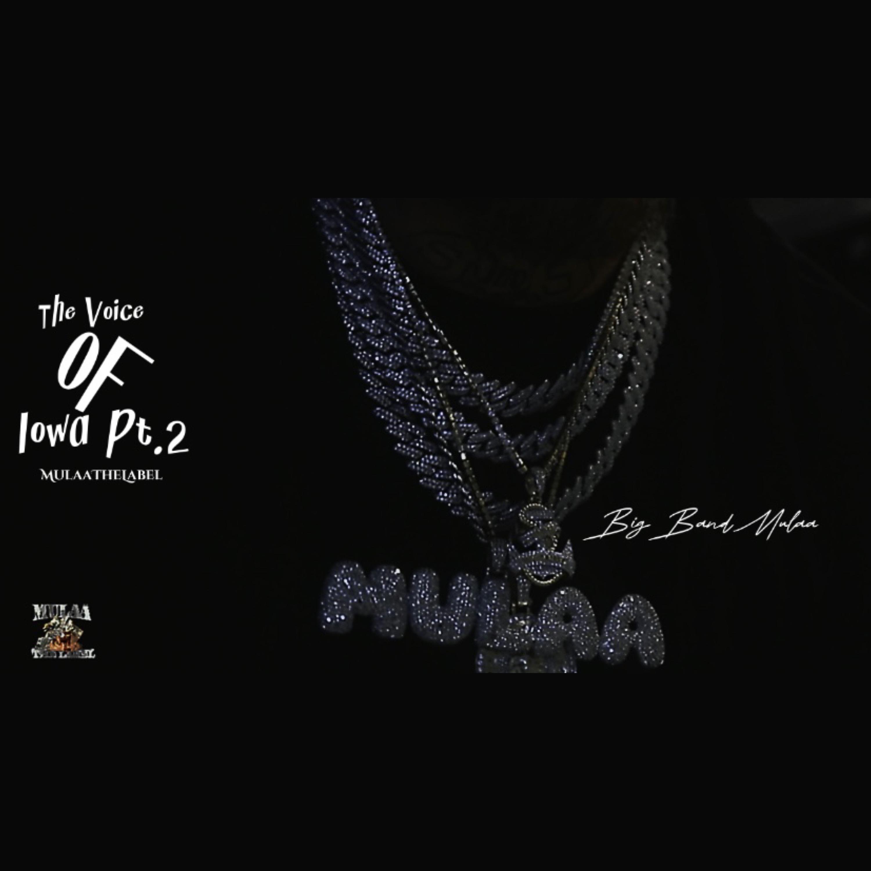 The Voice Of Iowa Pt. 2 artwork