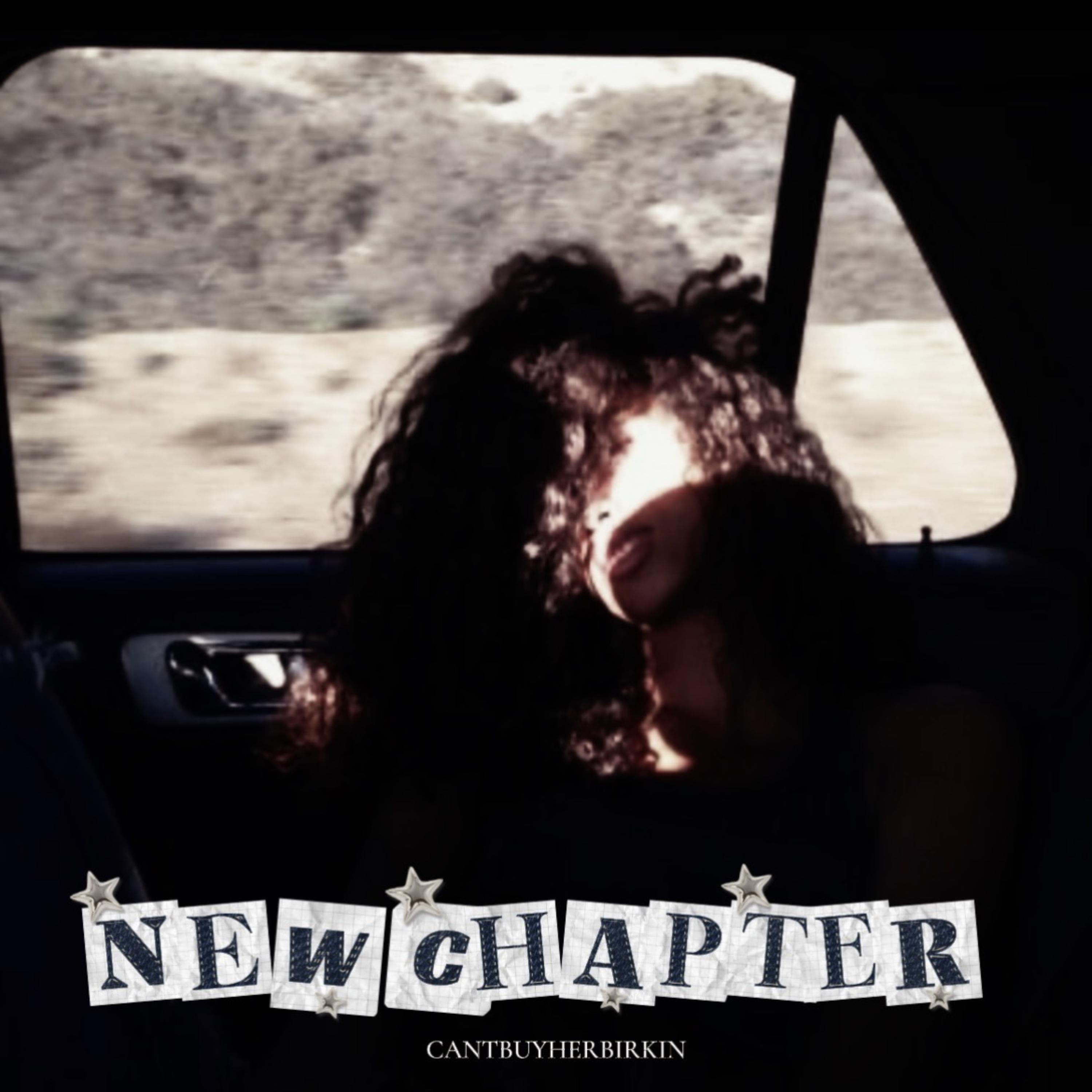 NEW CHAPTER by CANTBUYHERBIRKIN cover art