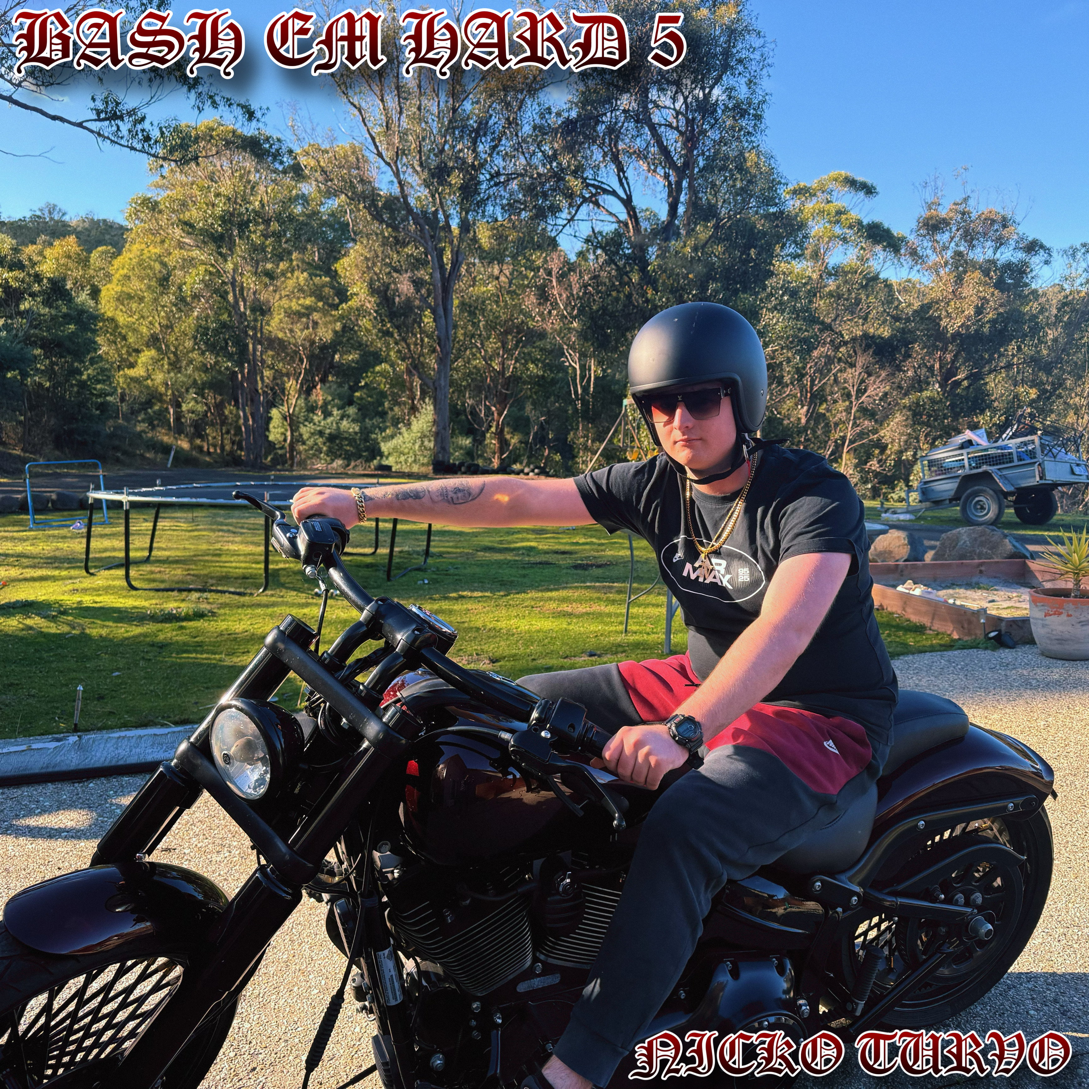 Bash Em Hard 5 artwork