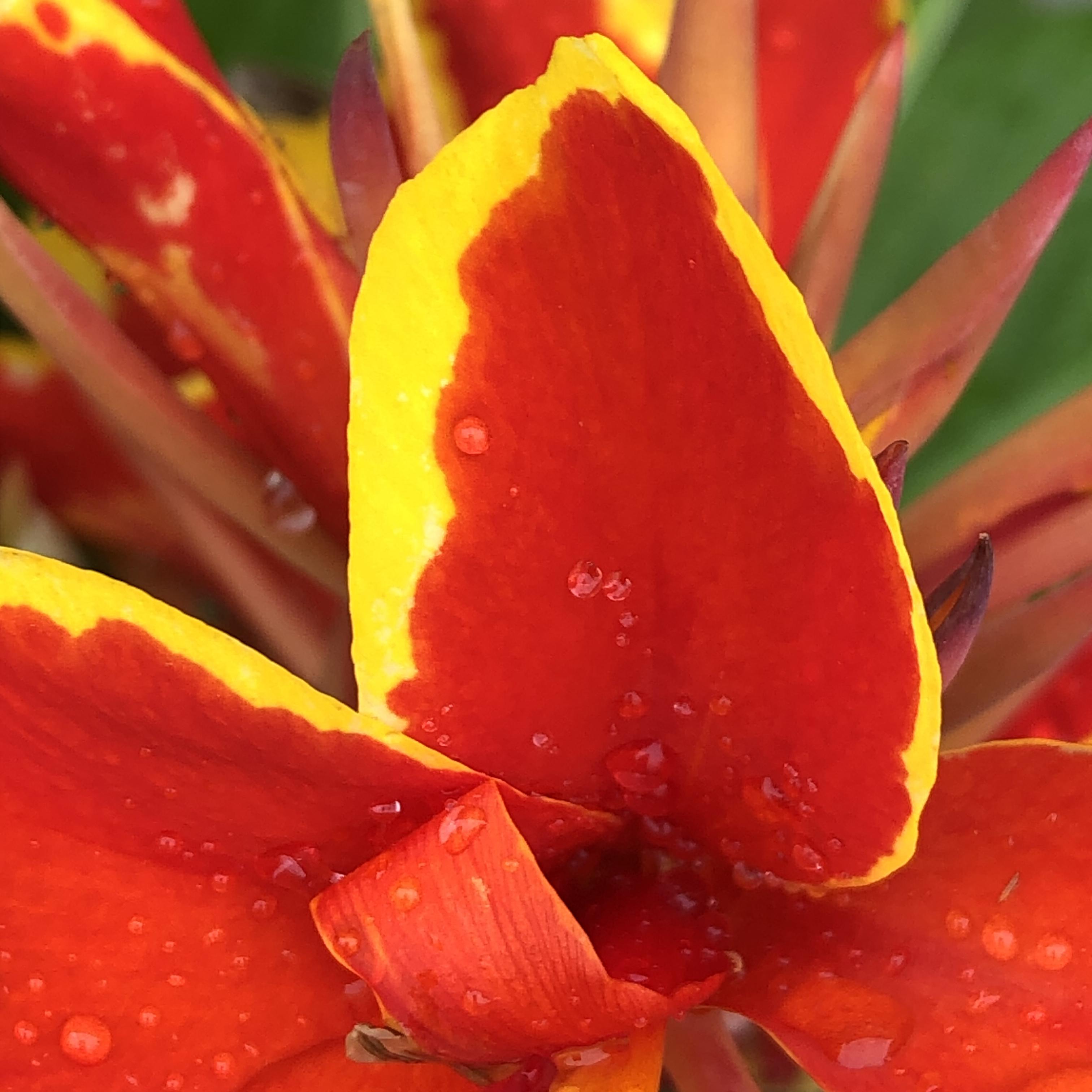 Mouthing Off artwork