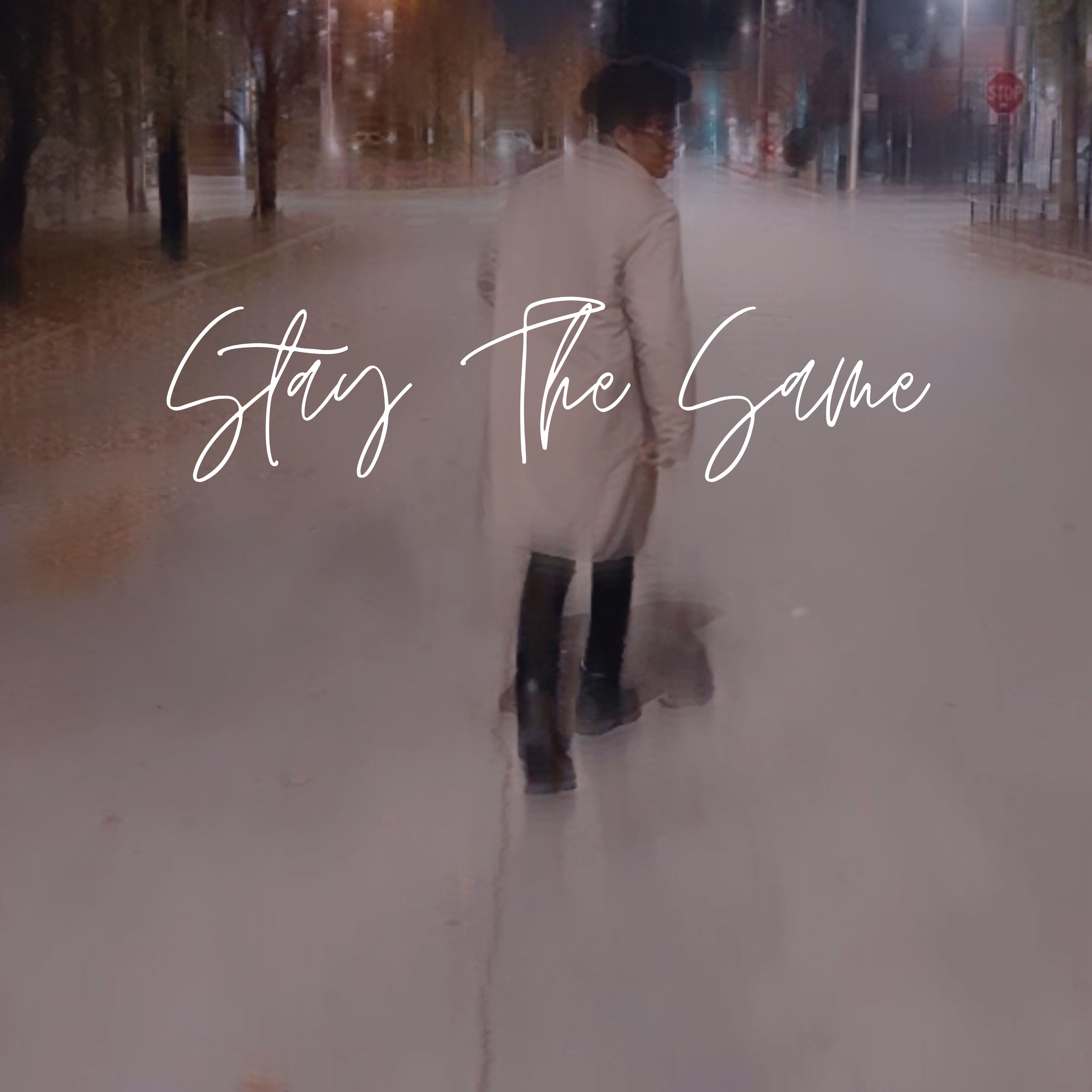 Stay The Same artwork