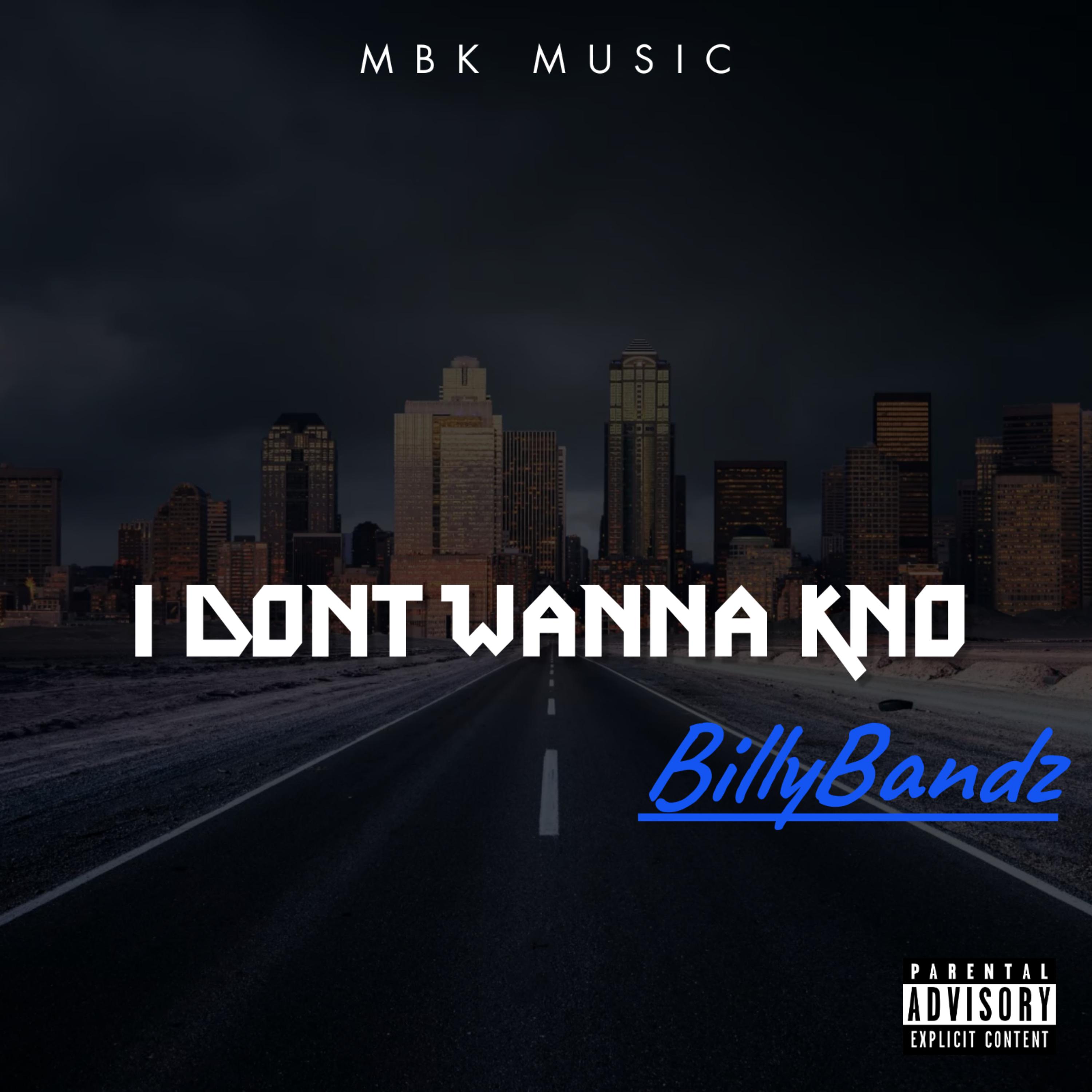 I Dont Wanna Kno artwork