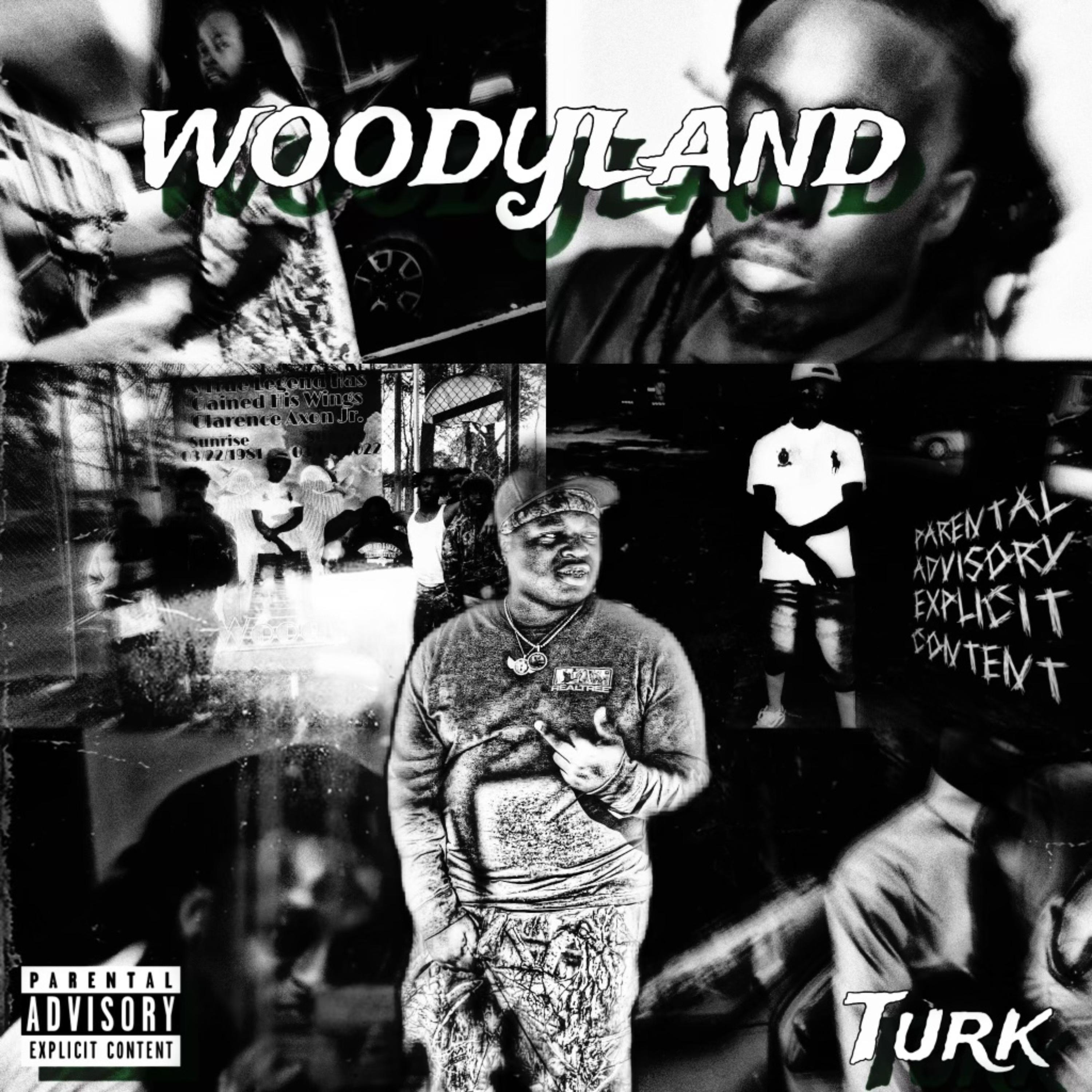 WoodyLand artwork