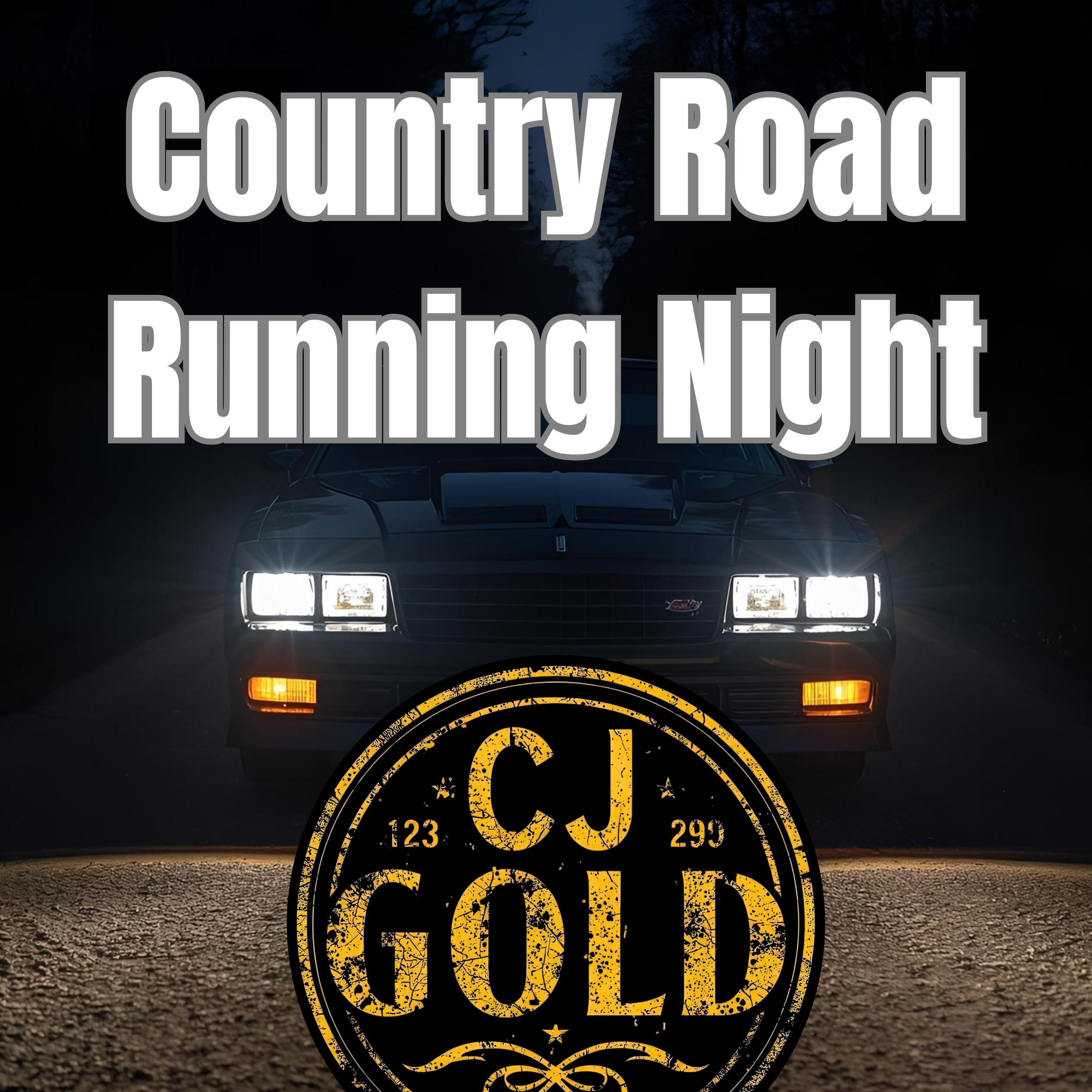Country Road Running Night artwork