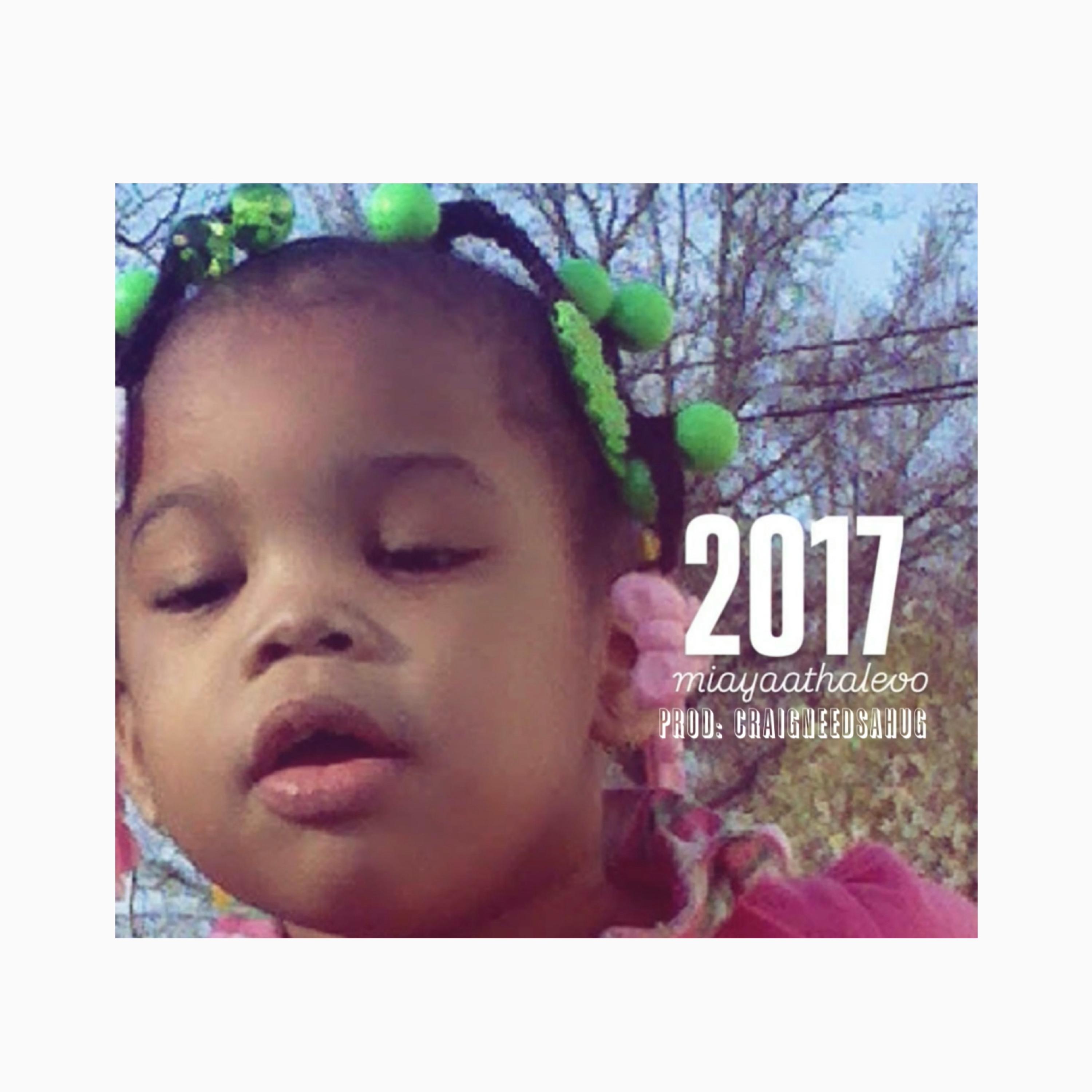 2017 artwork