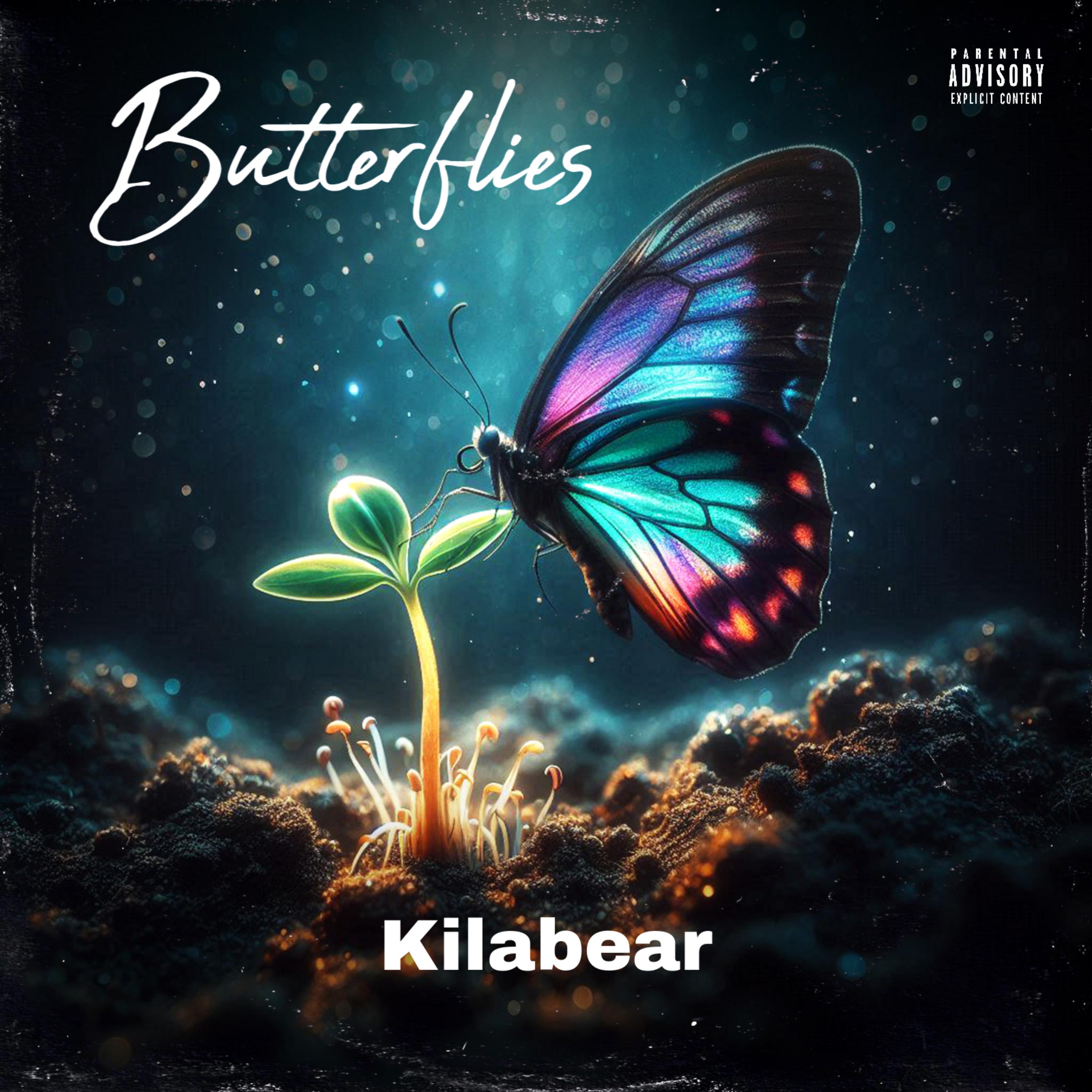 Butterflies artwork