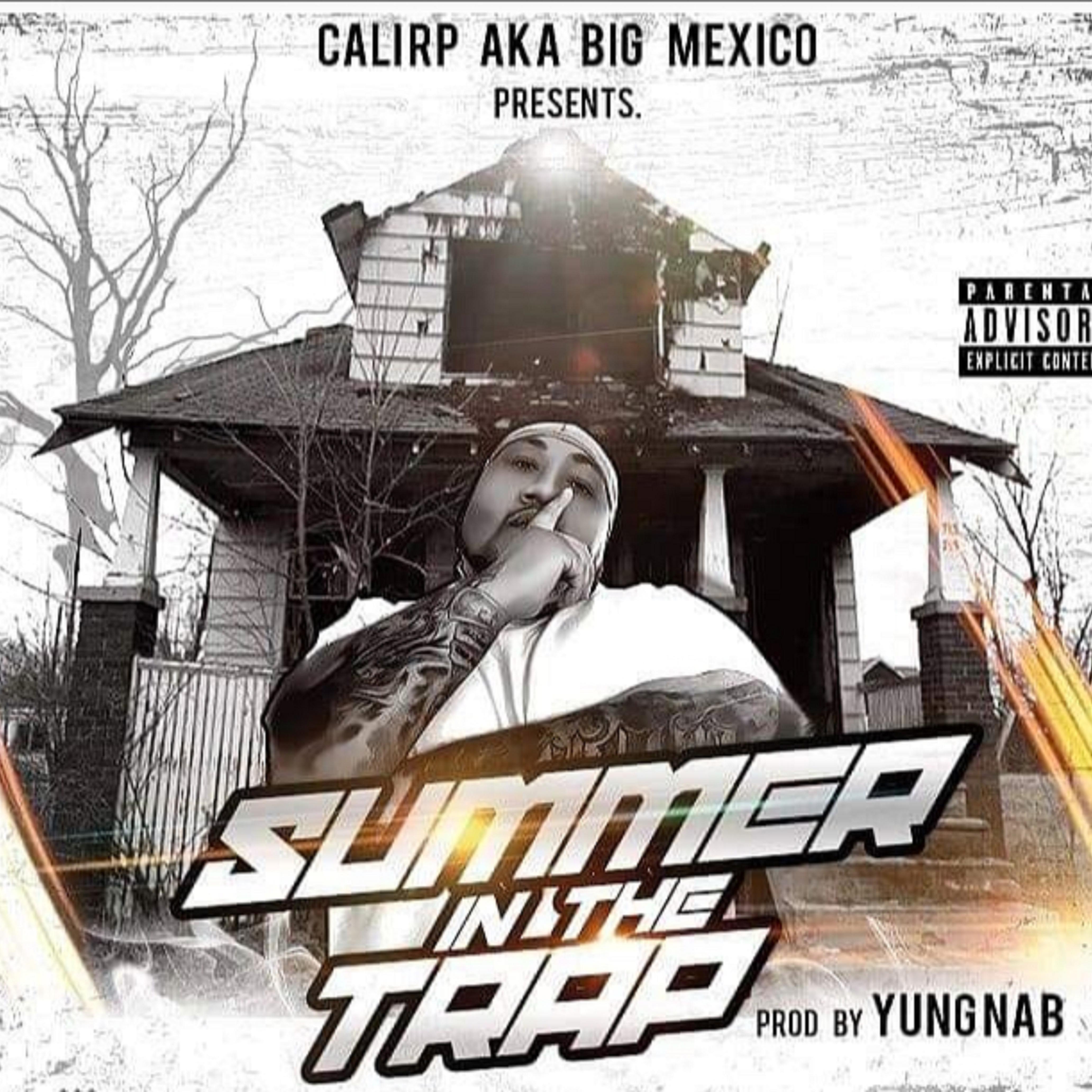 Summer in The Trap artwork