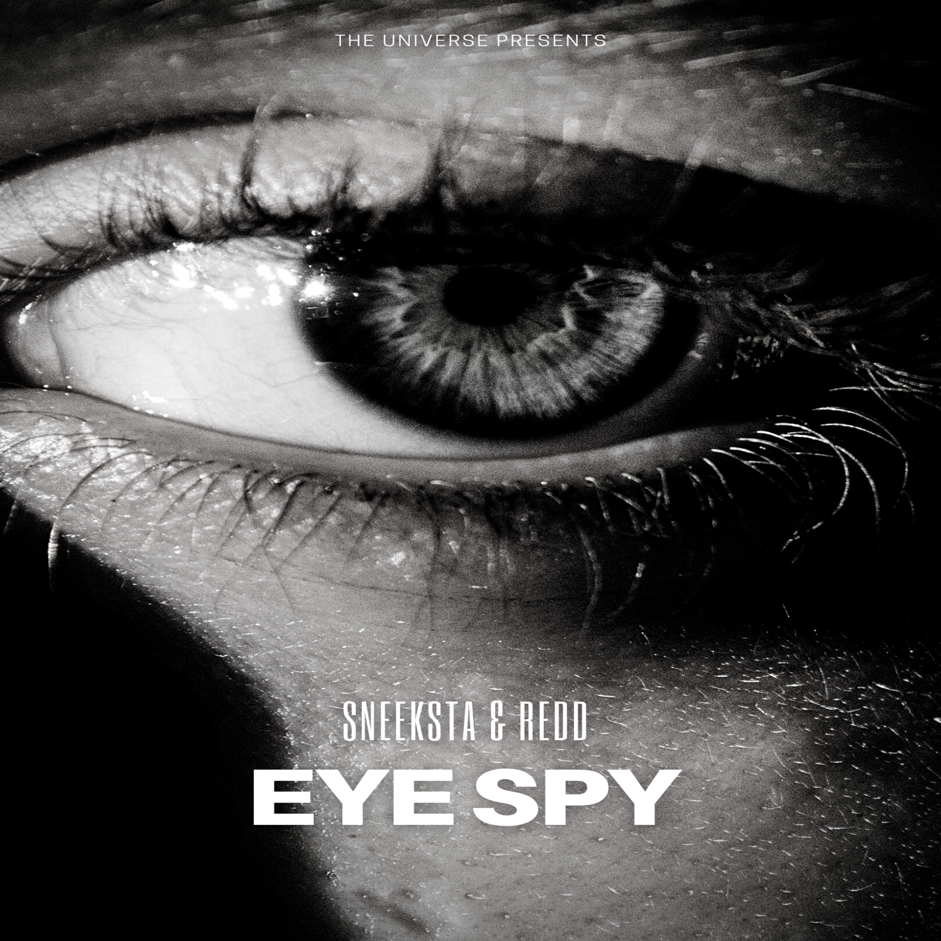 EYE SPY artwork