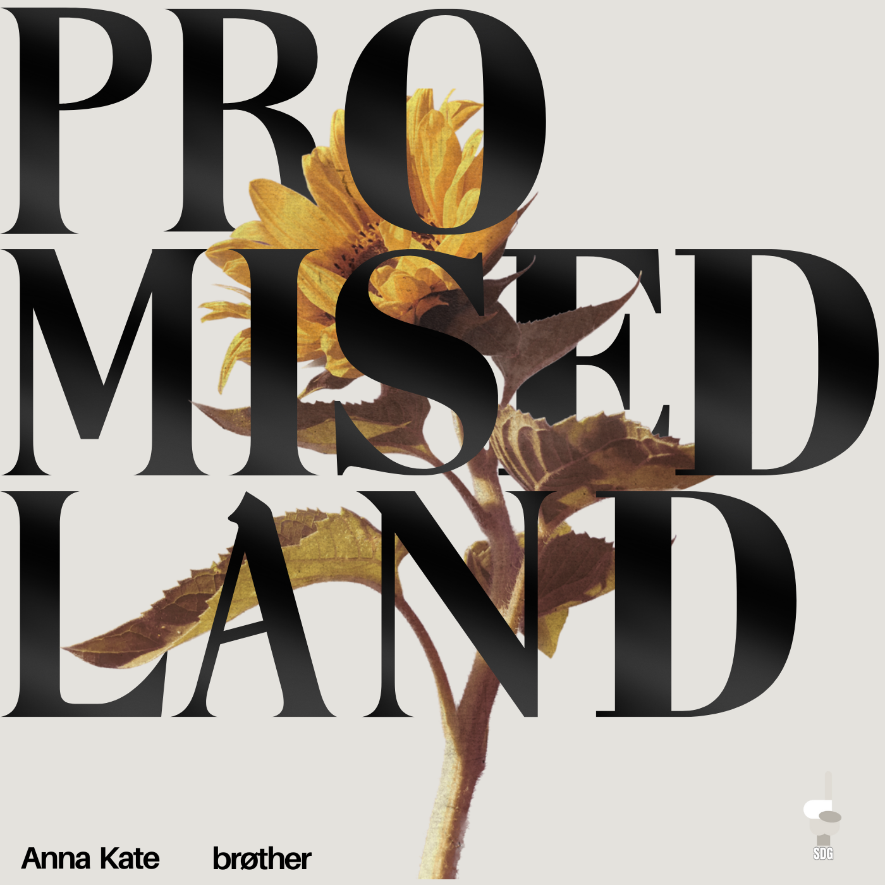 Promised Land by Anna Kate cover art