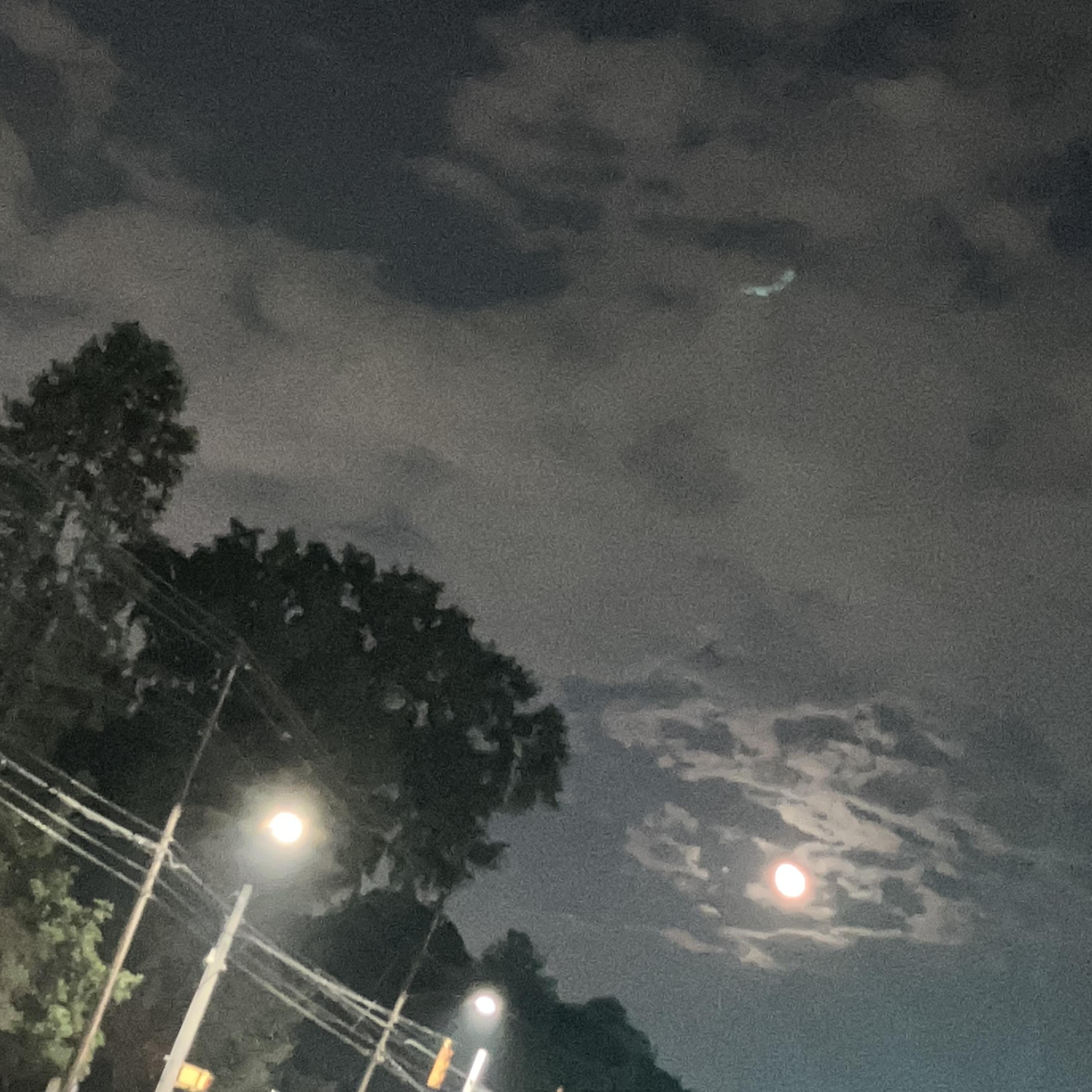 HI MY NAME IS SINGLE artwork