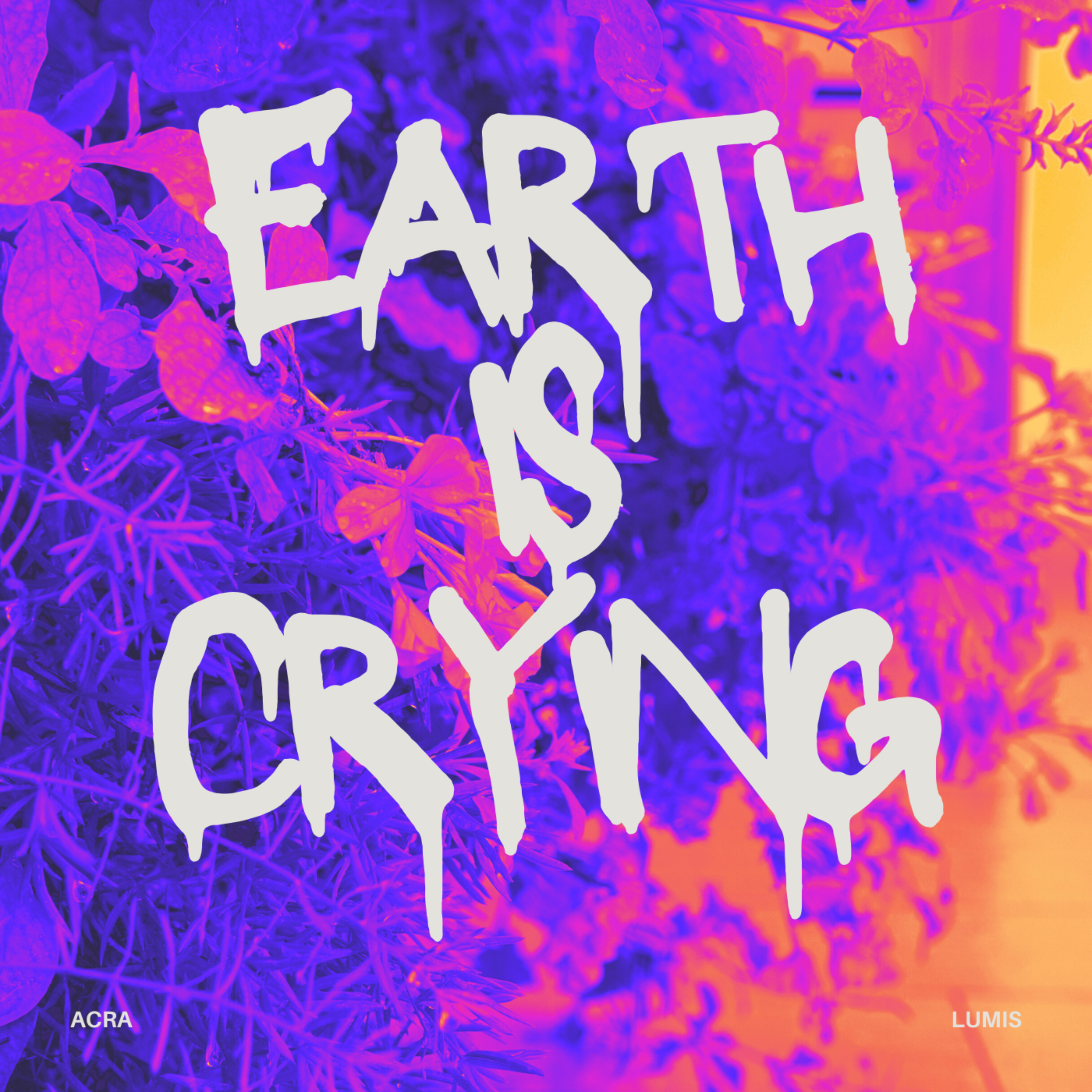 earth is crying artwork
