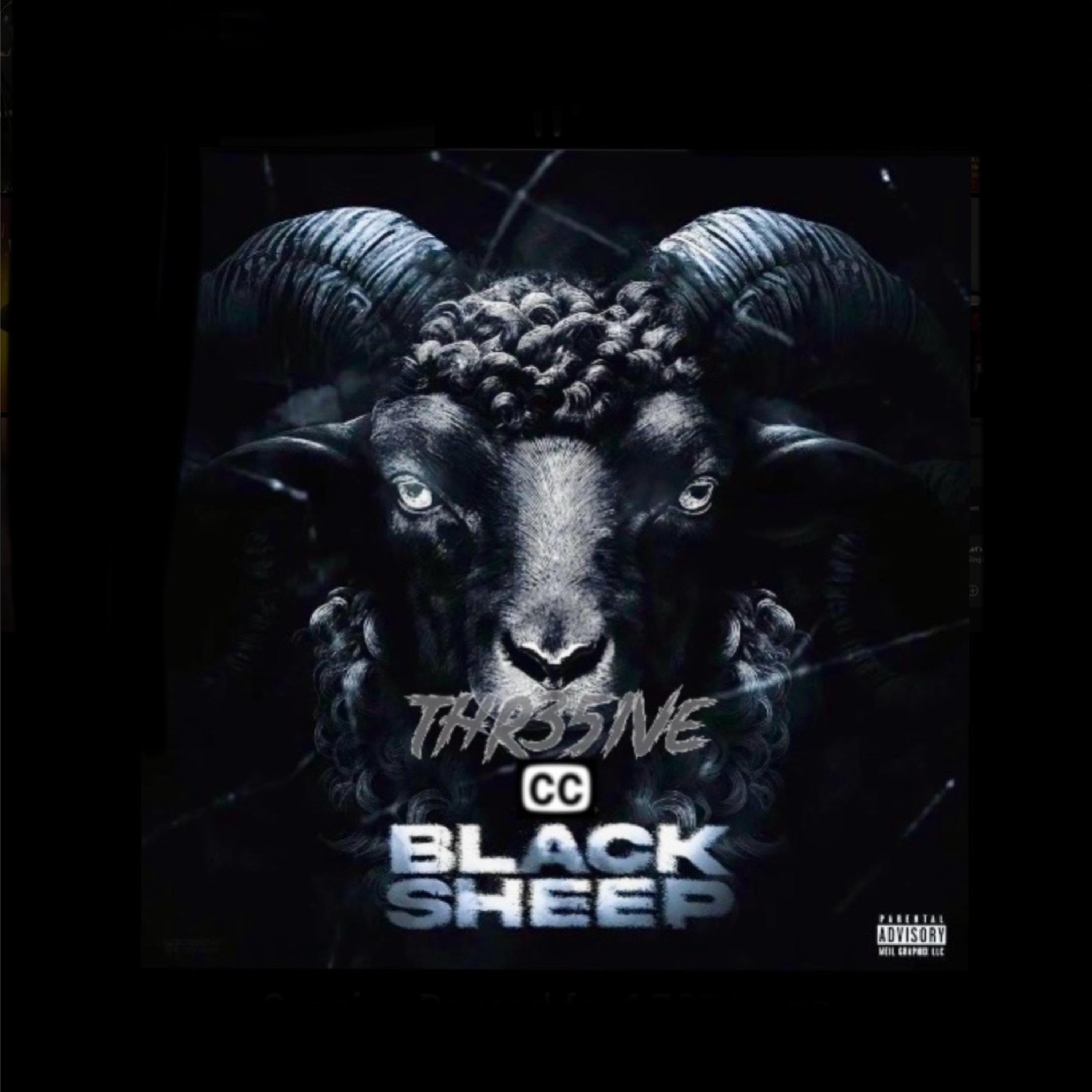 BLACK SHEEP artwork