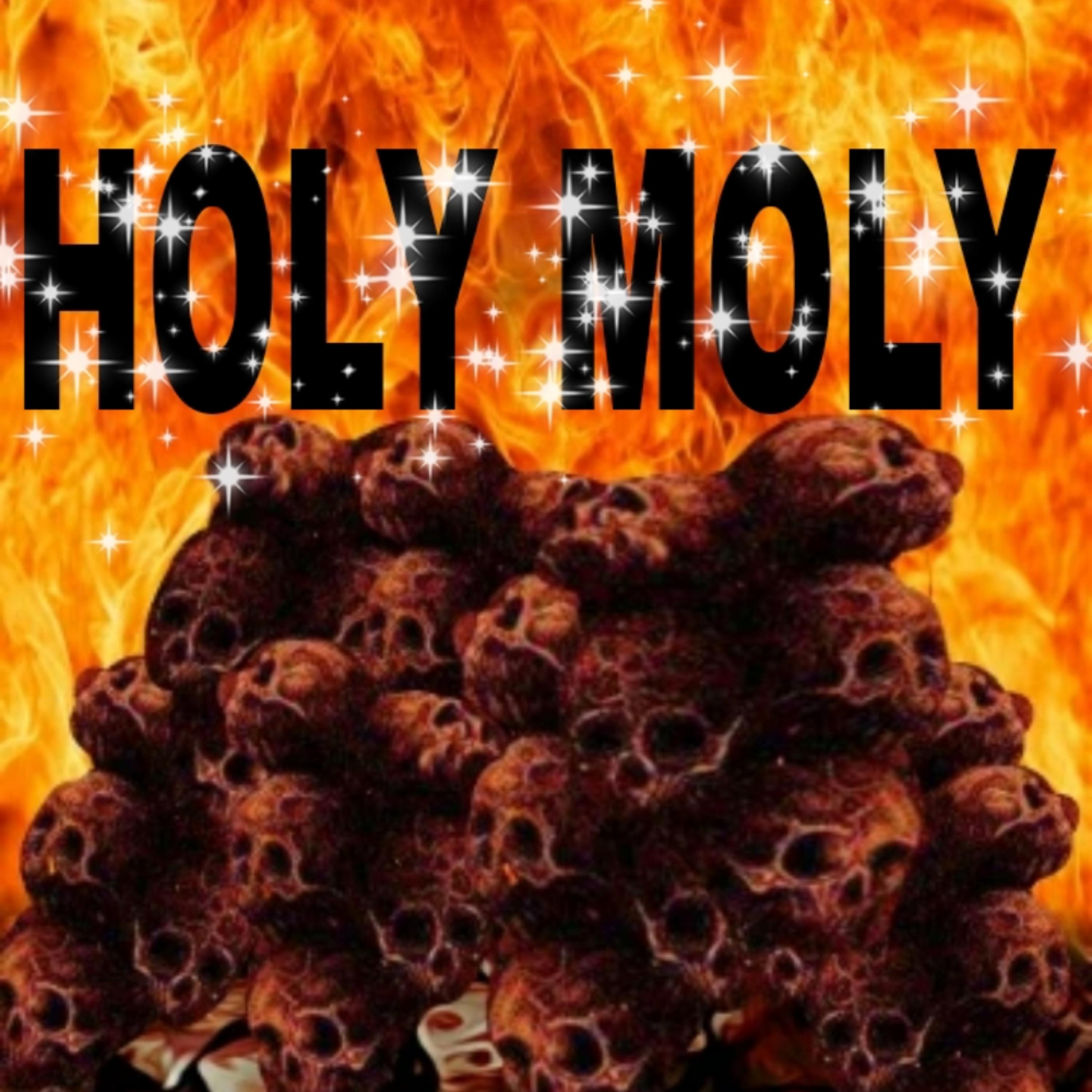 Holy Moly artwork