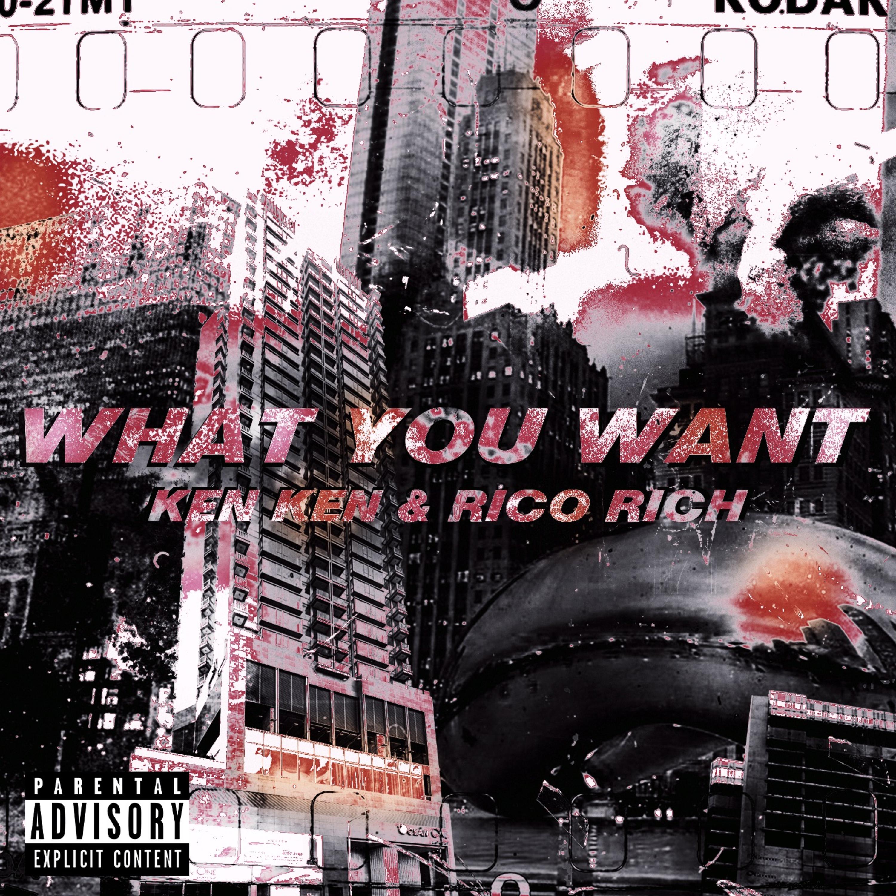 What You Want artwork