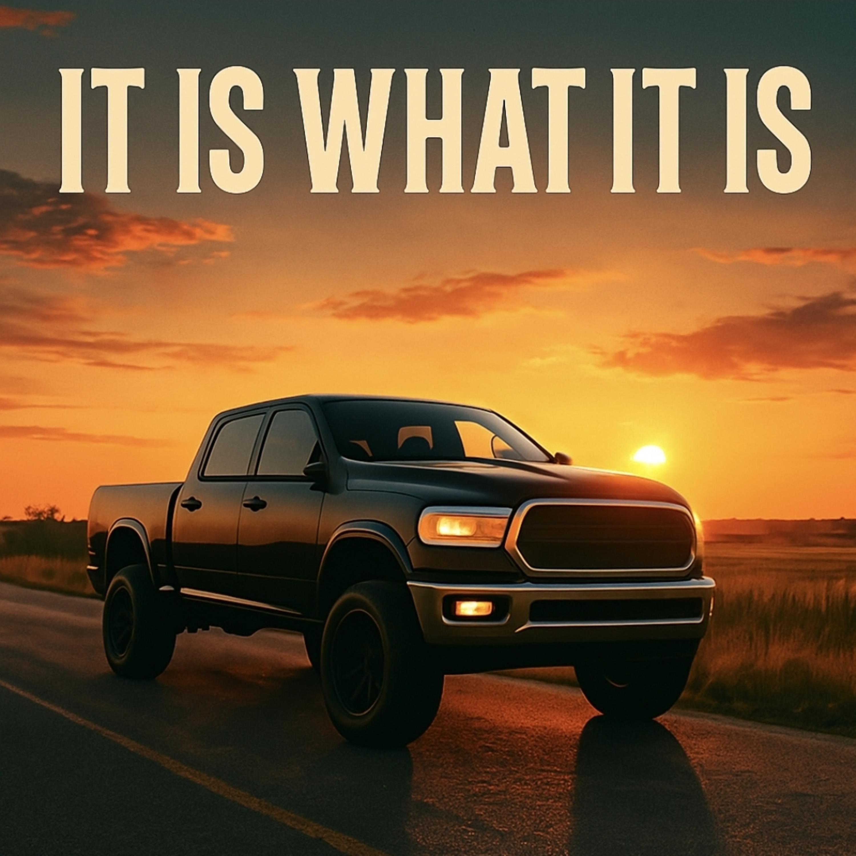 it is what it is artwork