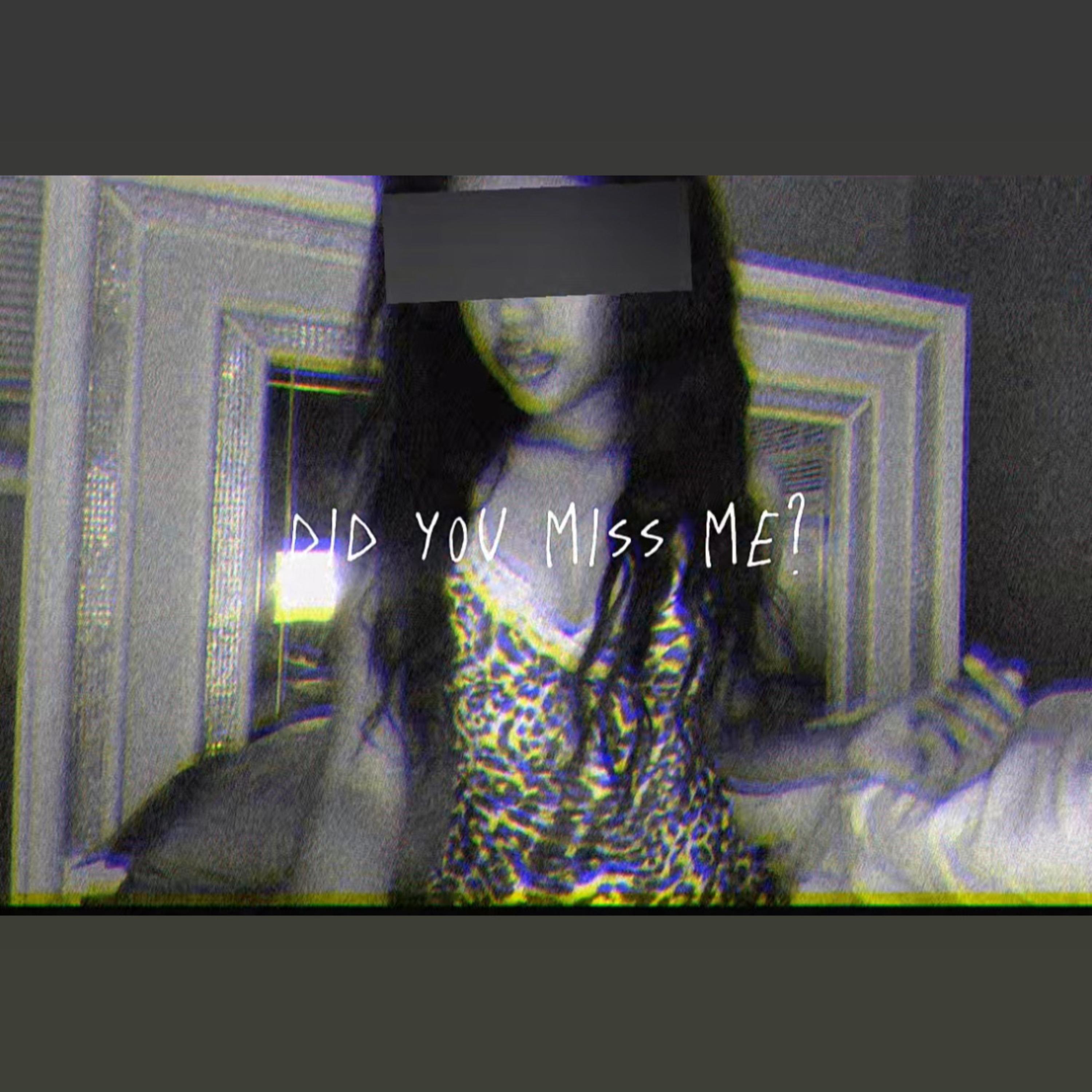 did you miss me? artwork
