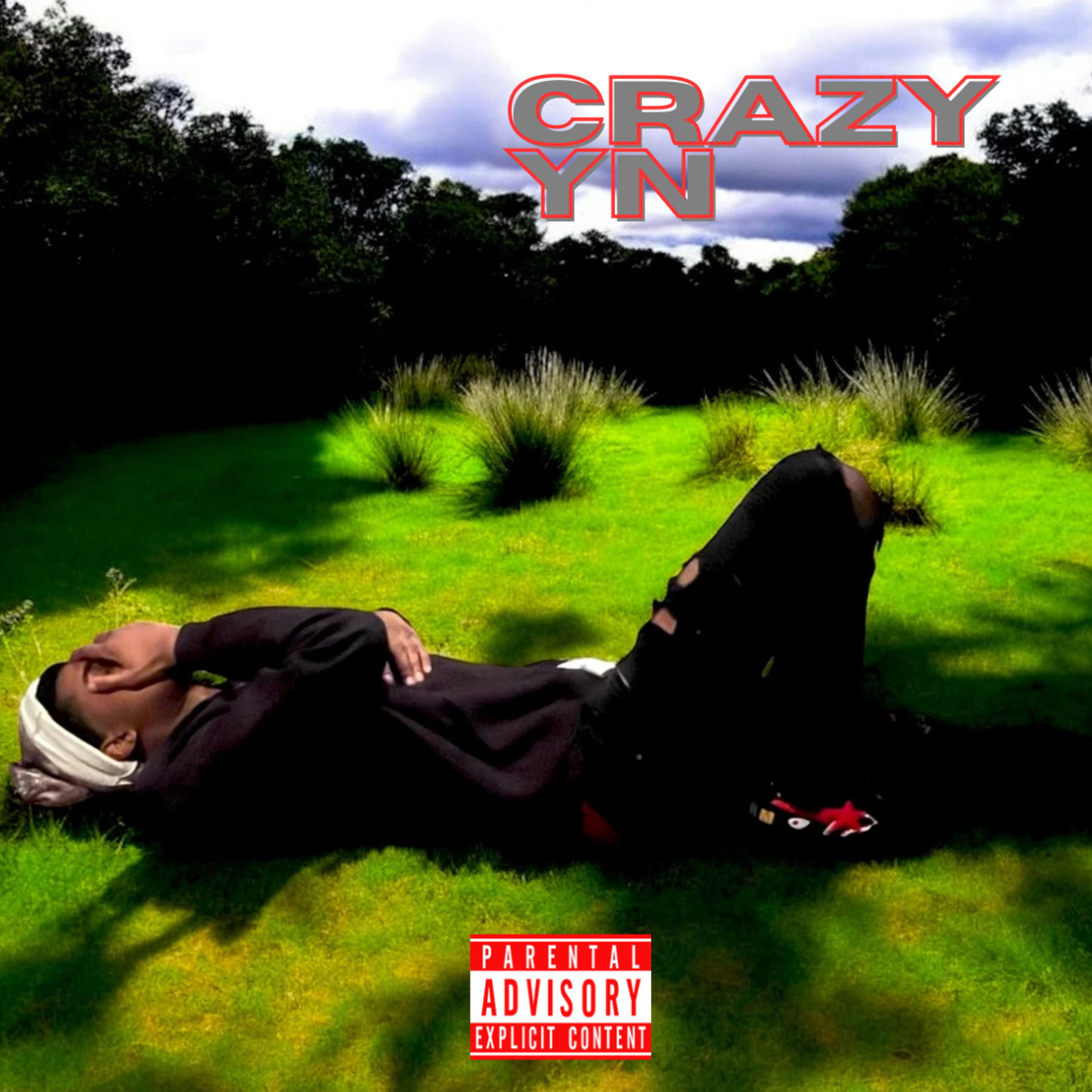 Crazy YN artwork