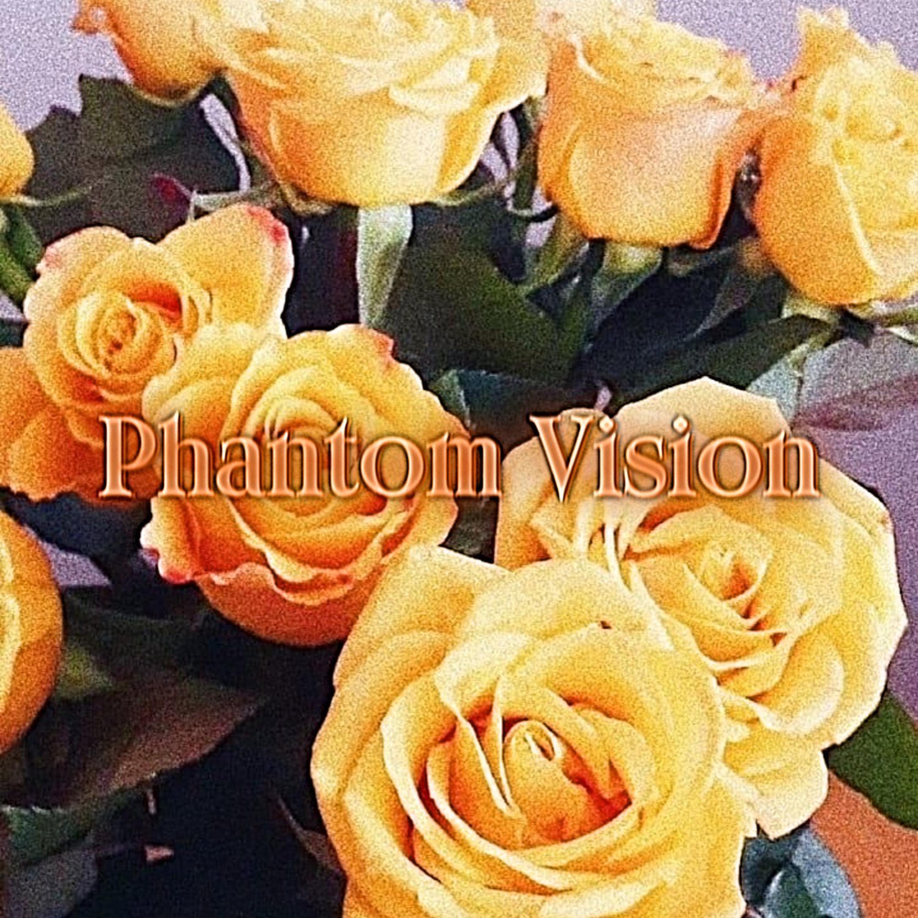 Phantom Vision artwork
