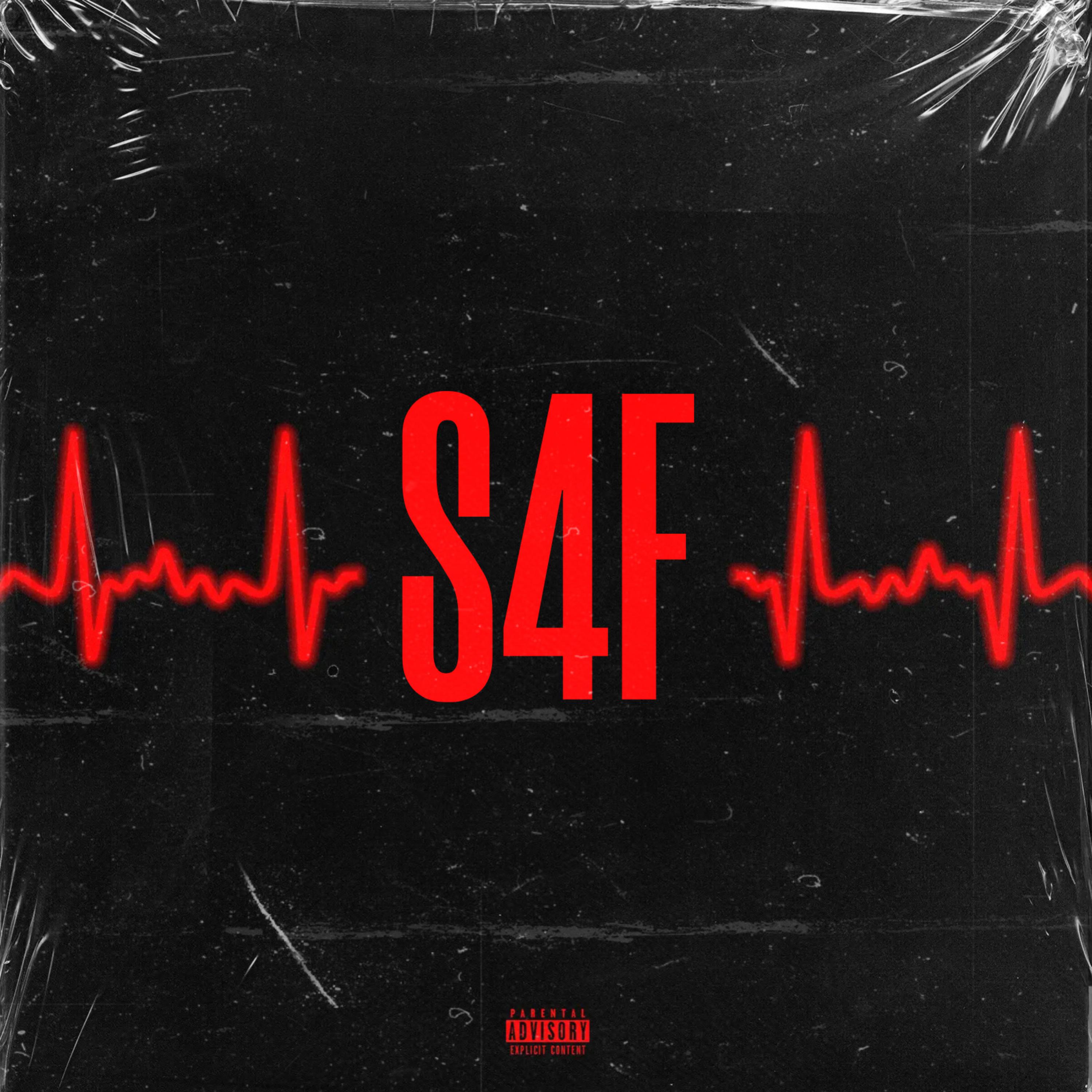 STRICTLY 4 FANS artwork