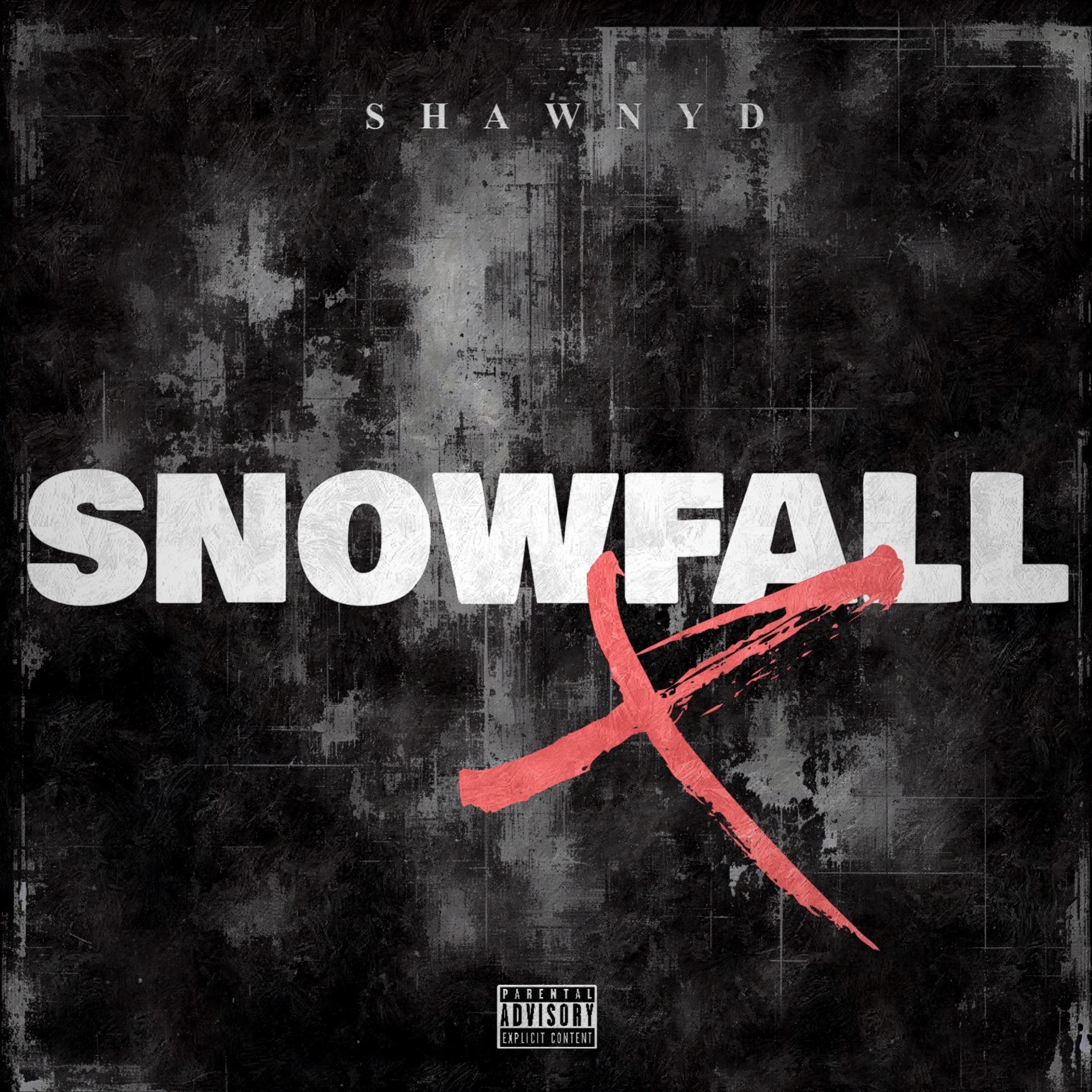 SNOWFALL artwork