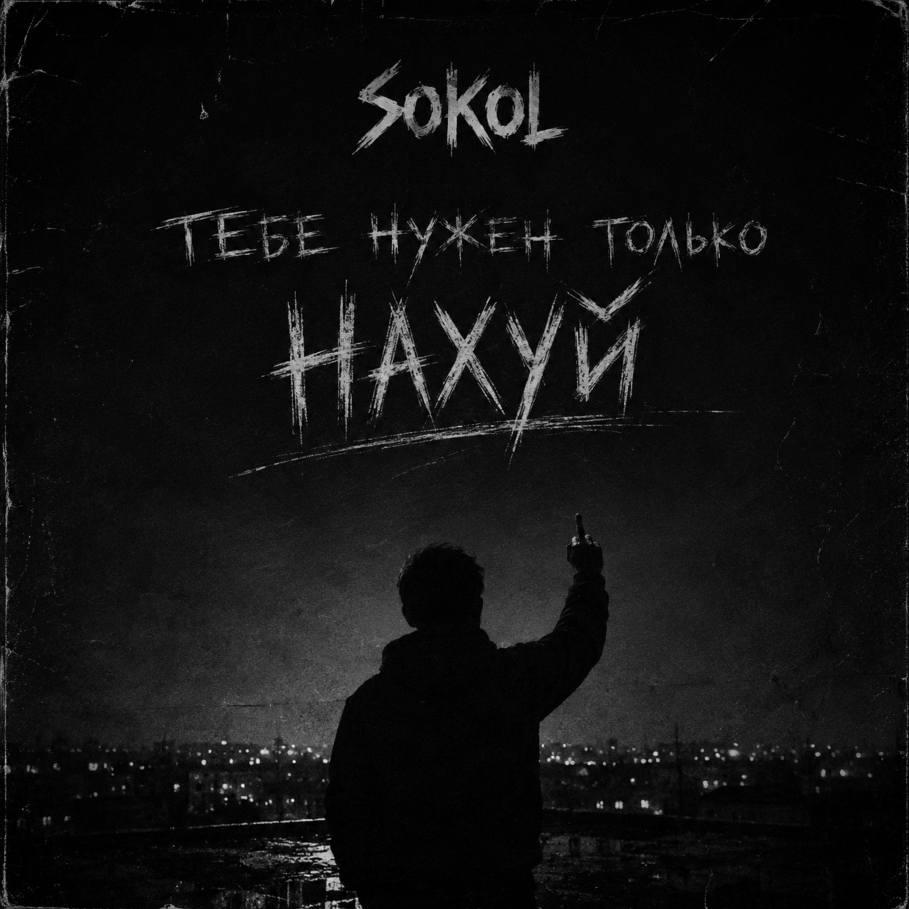 Тебе нужен только нахуй by Sokol cover art