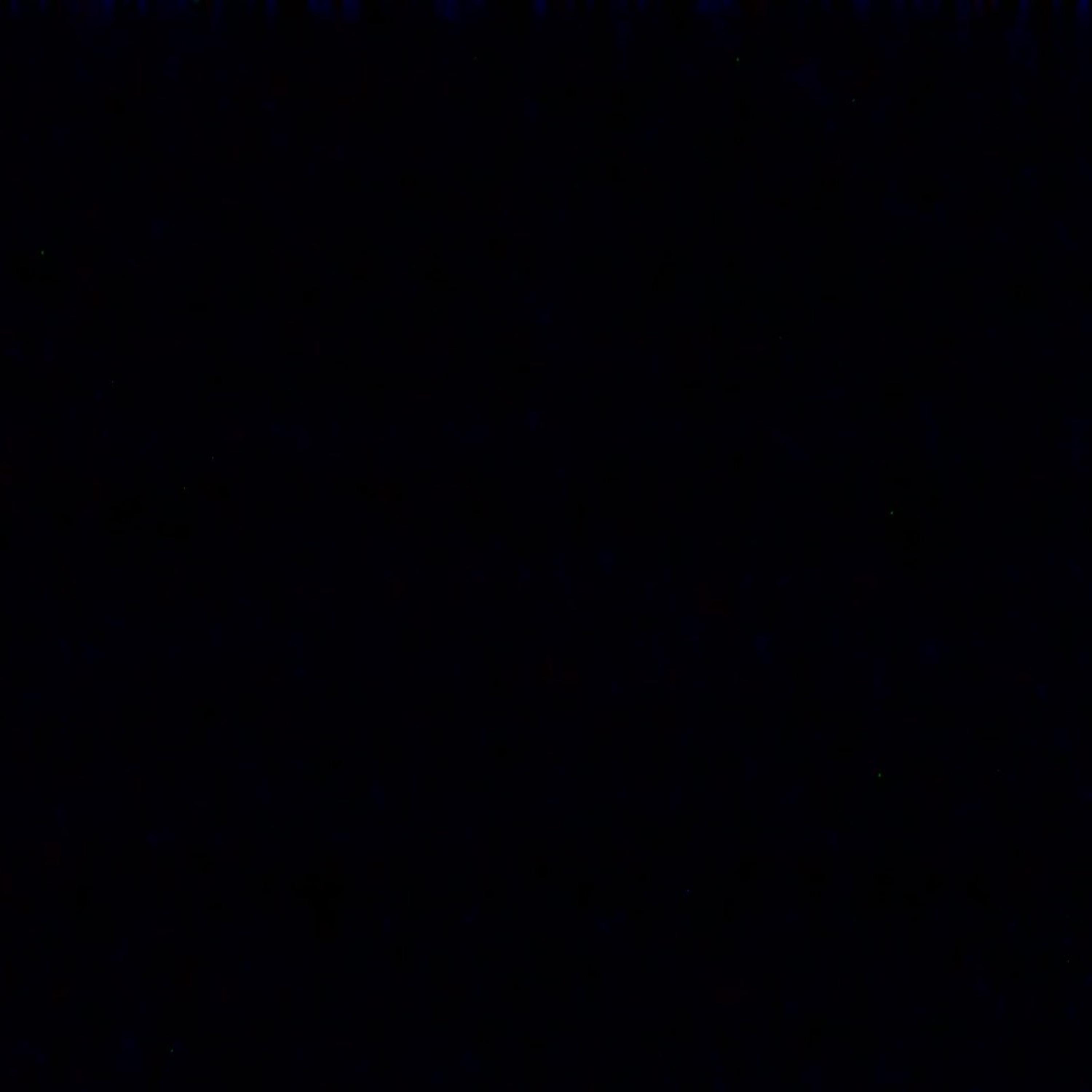 2Black artwork