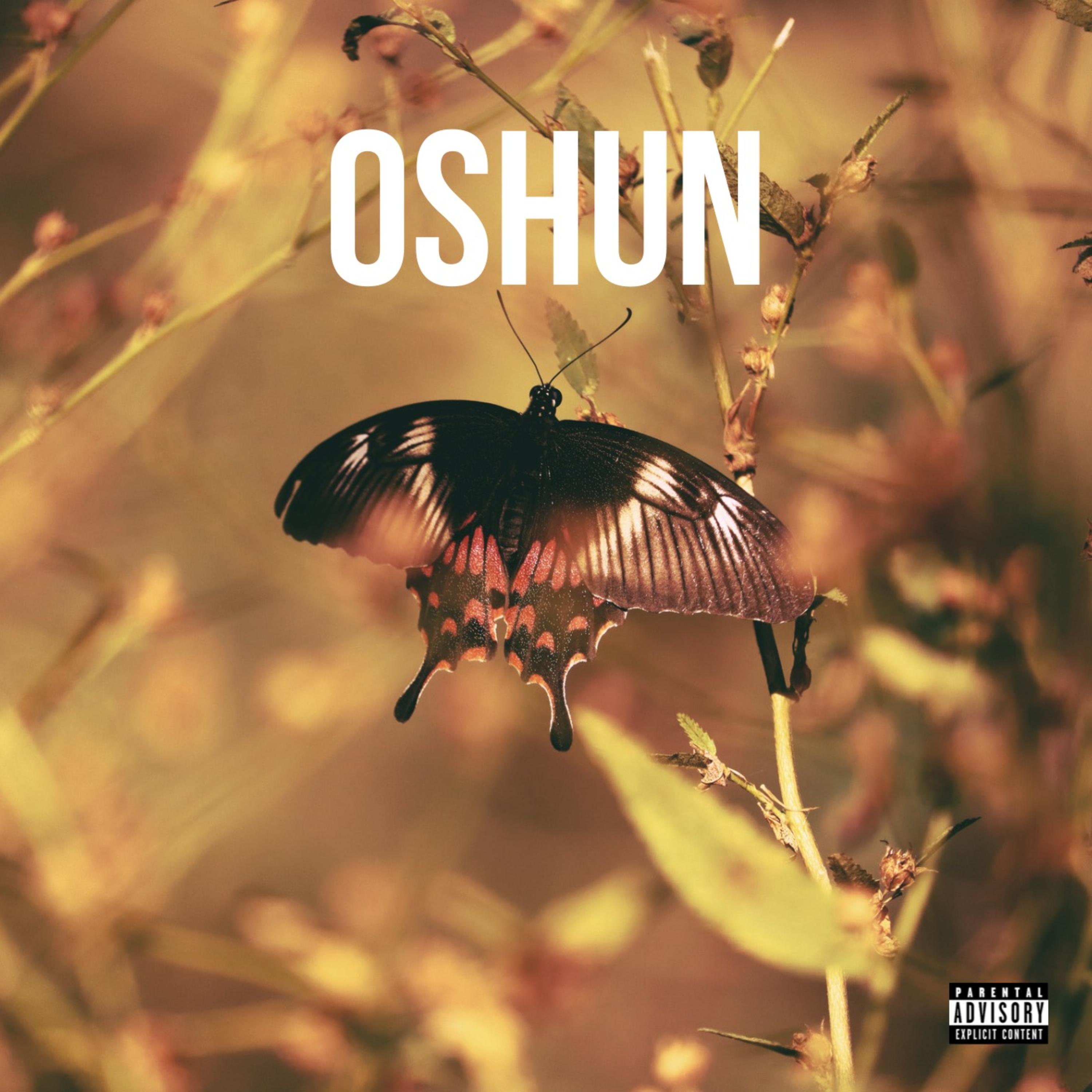 OSHUN artwork