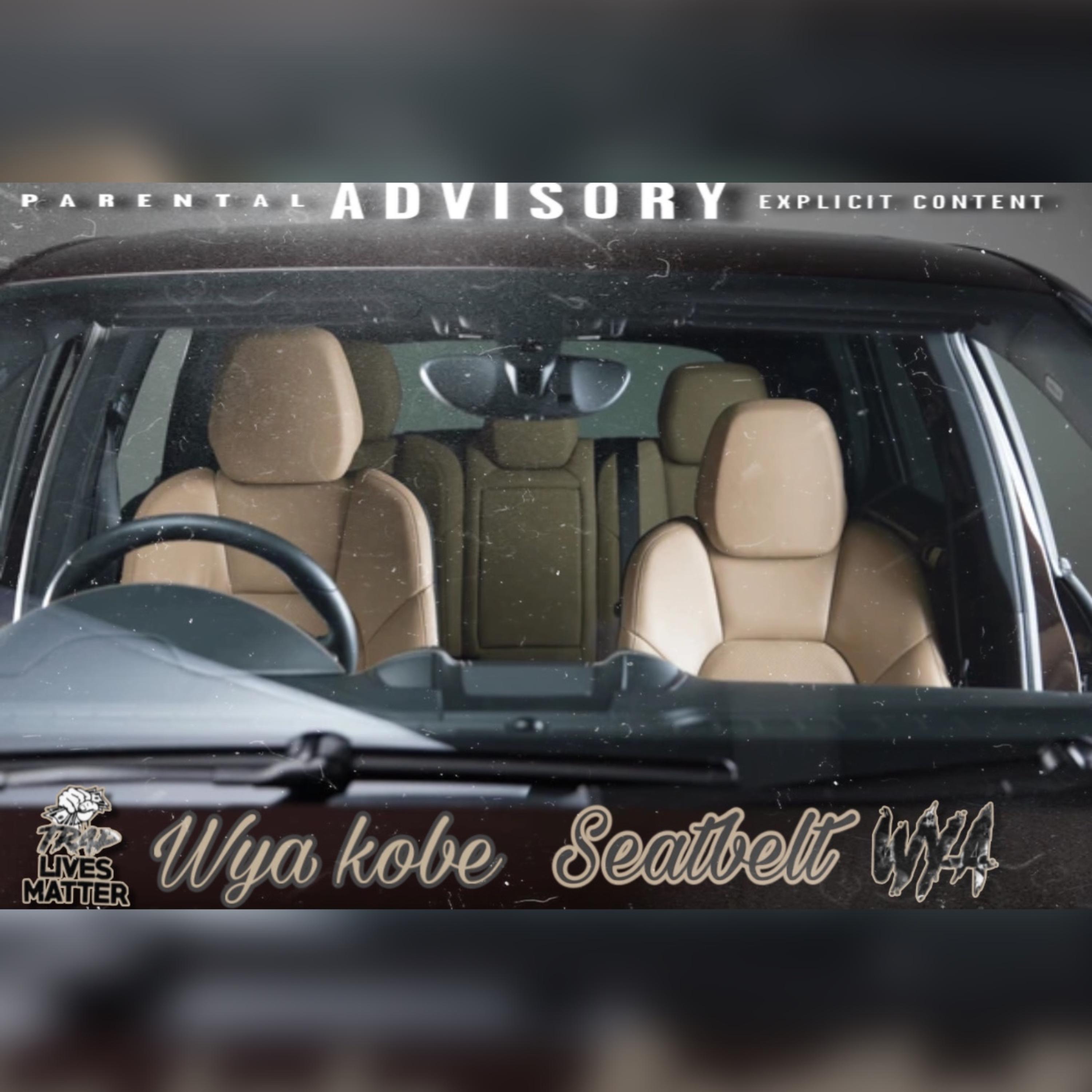 SeatBelt artwork