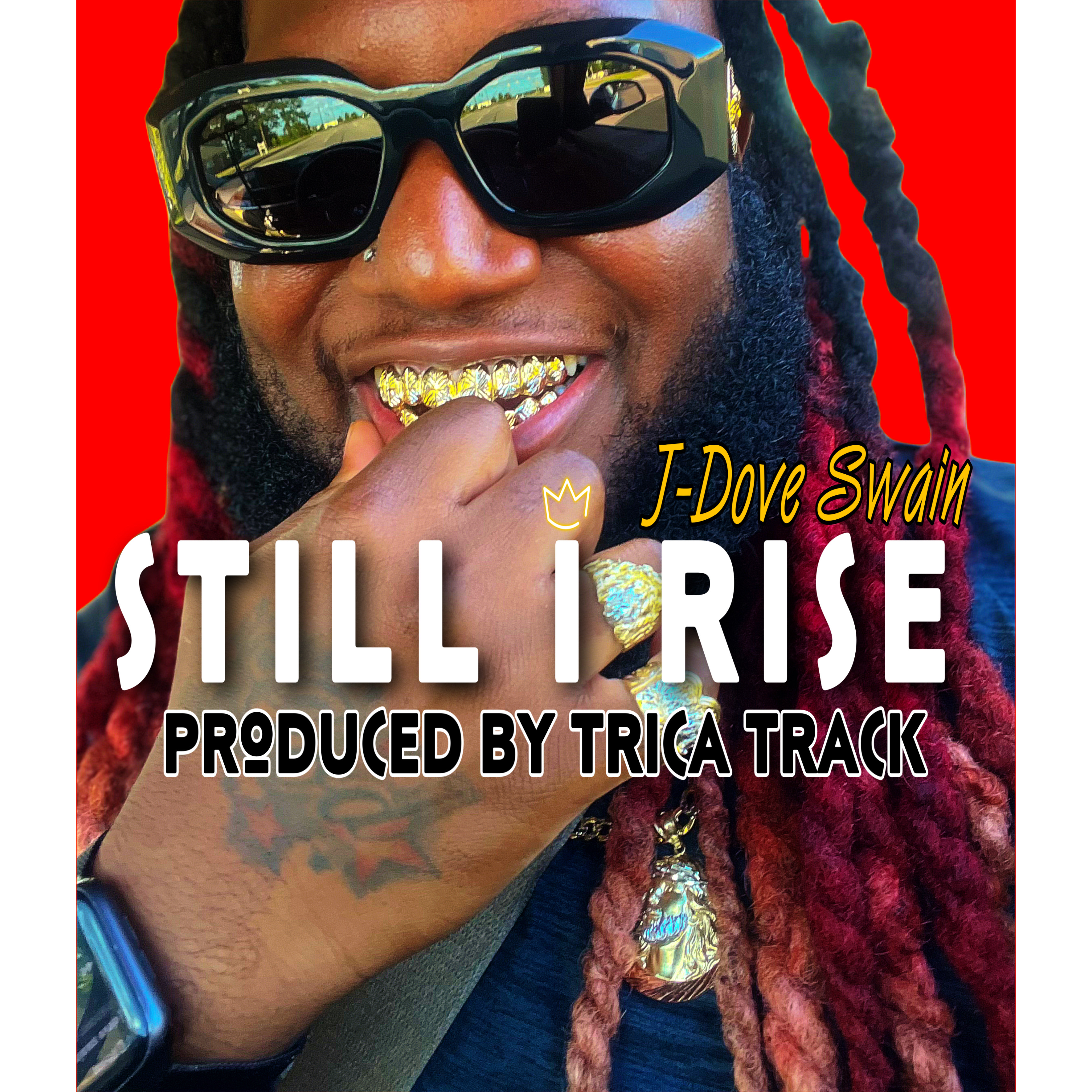 STILL I RISE artwork
