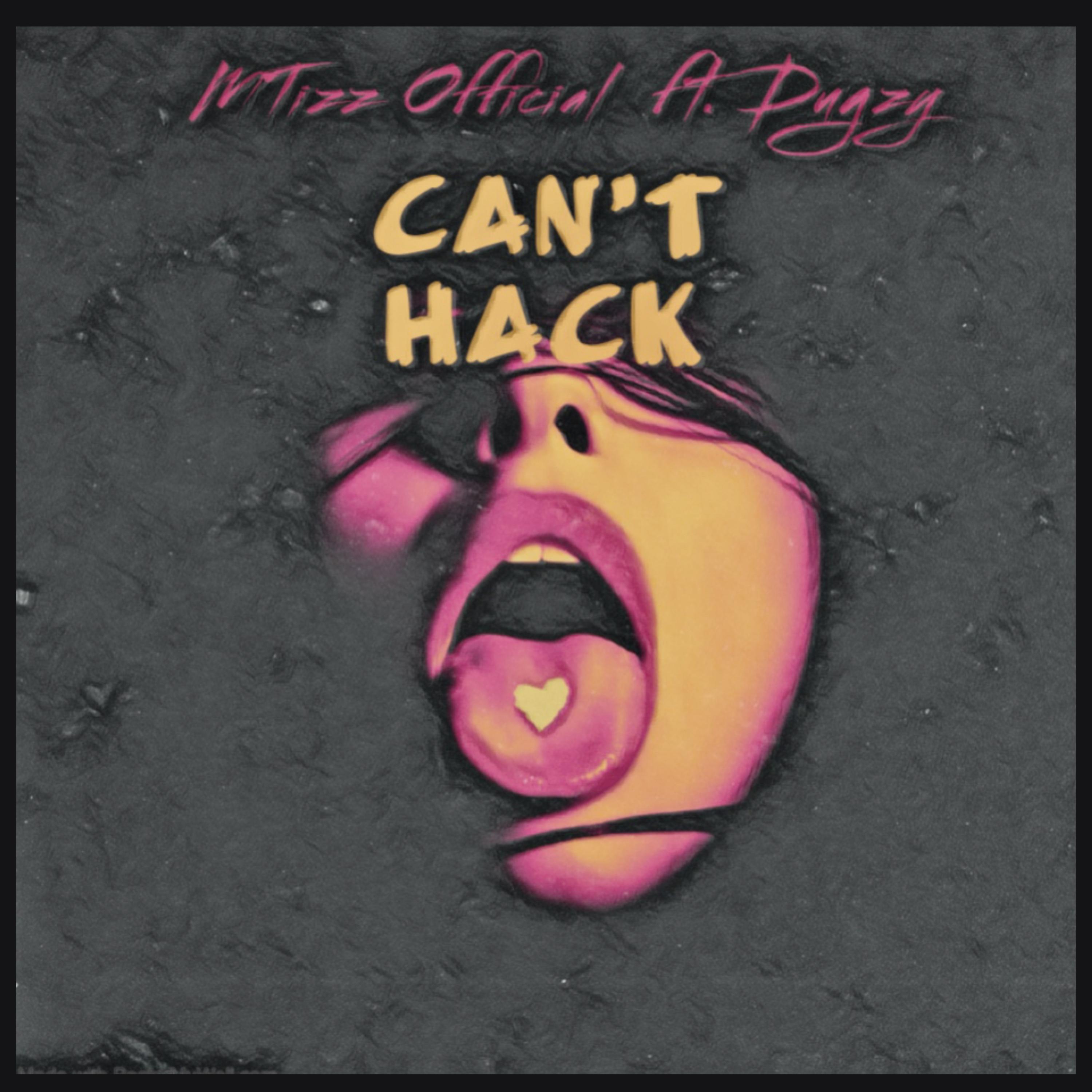 Can't Hack artwork