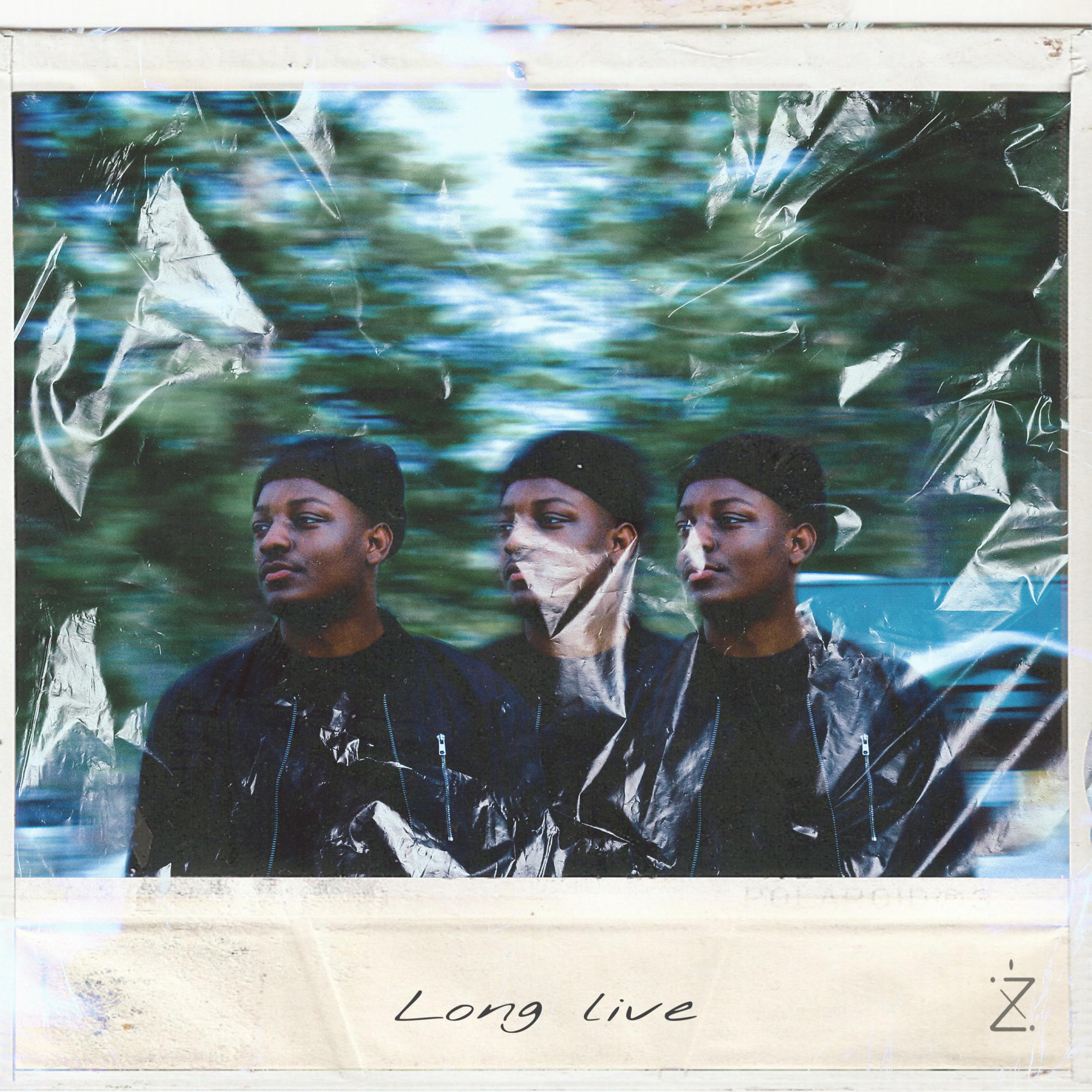 Long Liv artwork