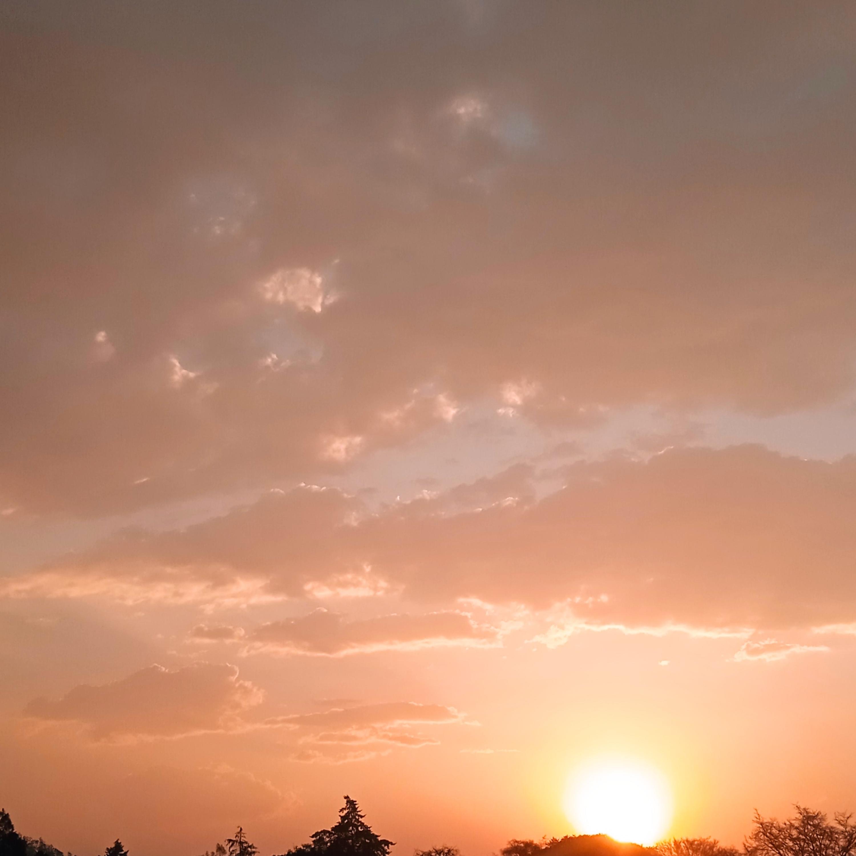 ACASO TA DOLIDO artwork