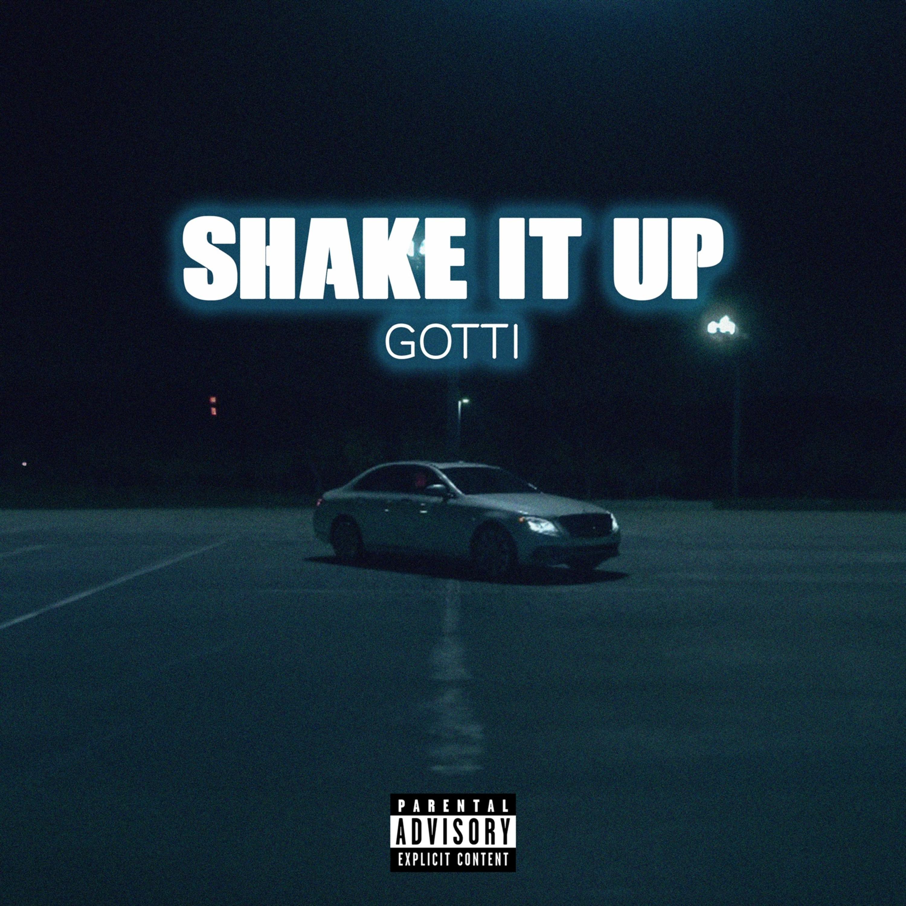 Shake It Up artwork