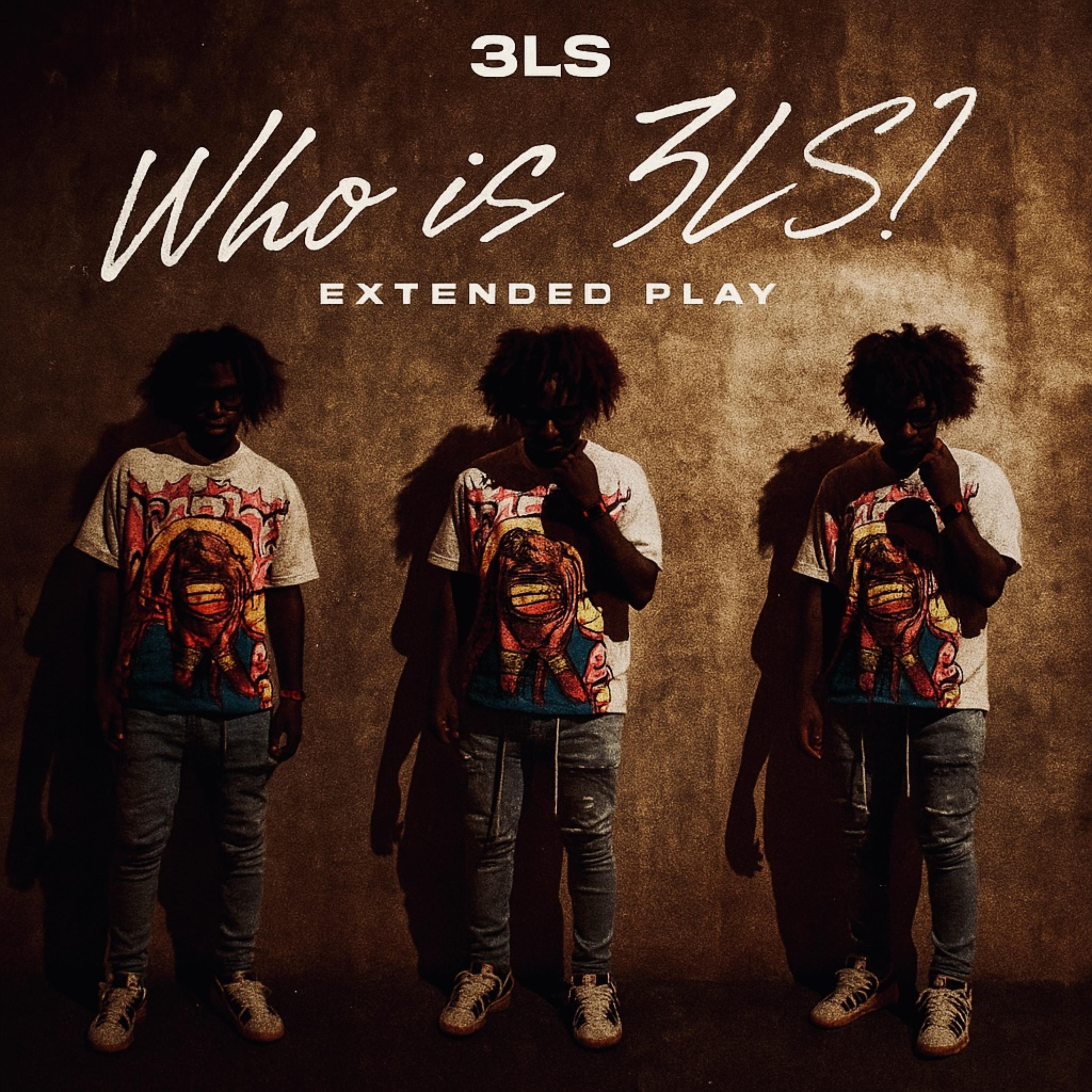 Who Is 3LS? artwork