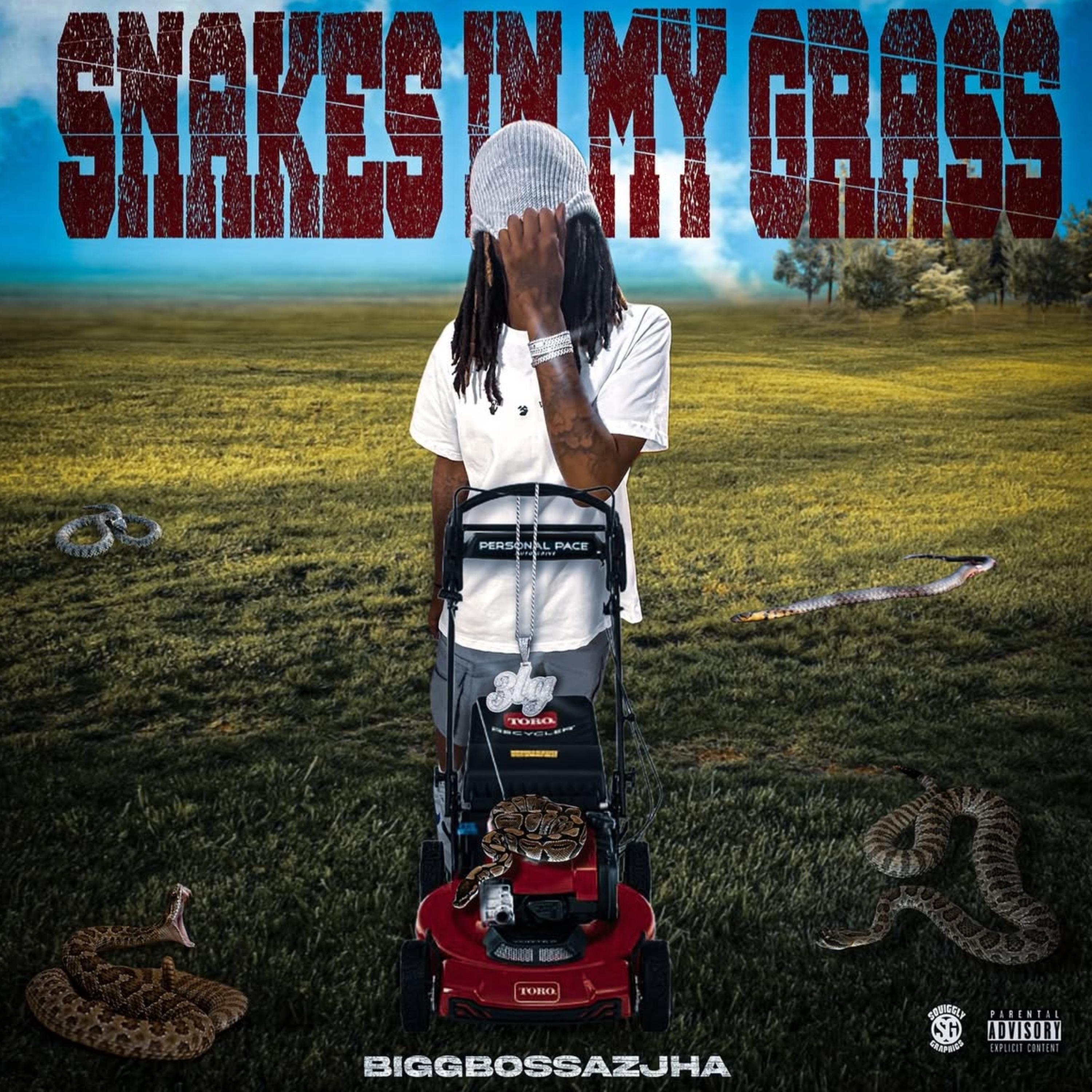 Snakes In My Grass artwork