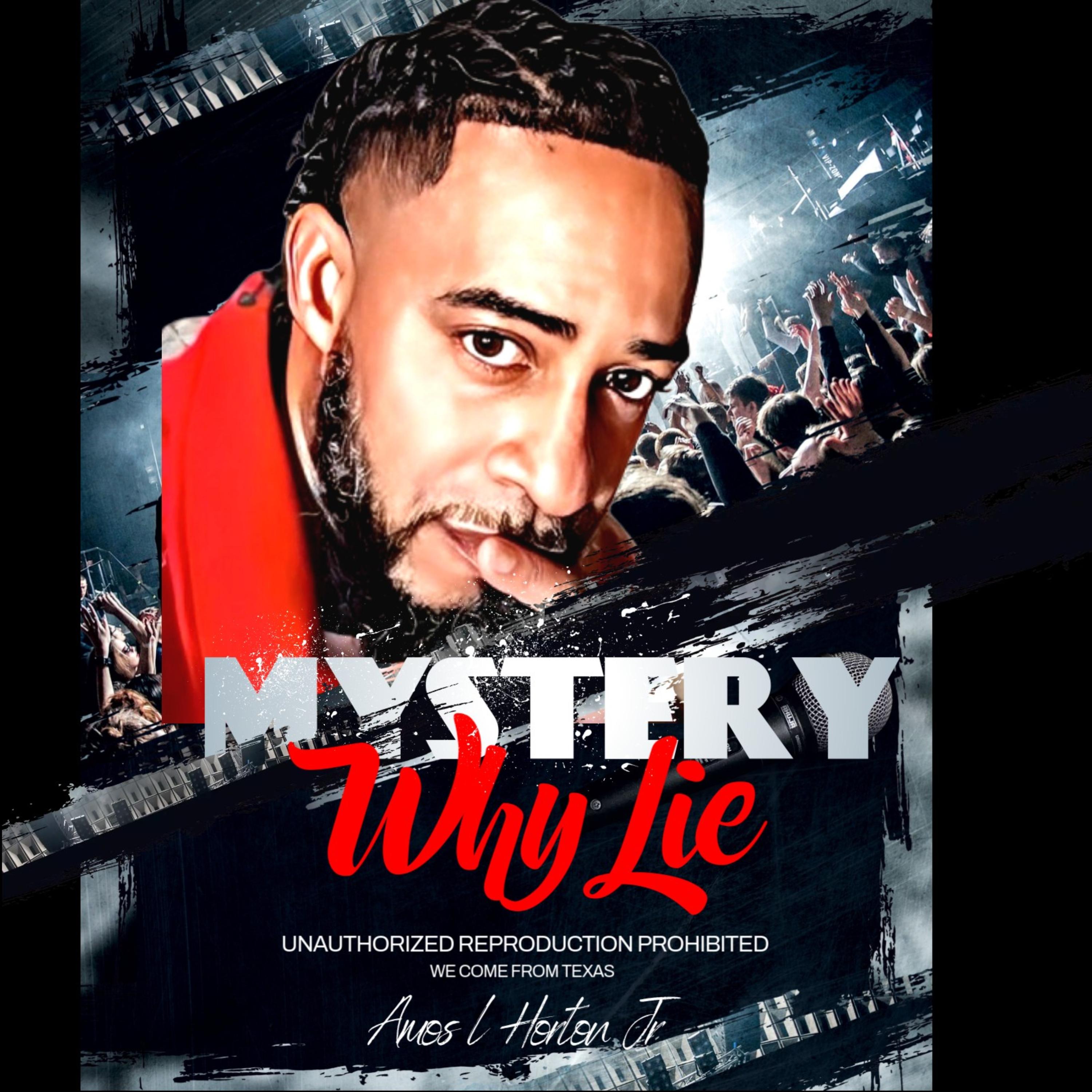 WHY LIE artwork