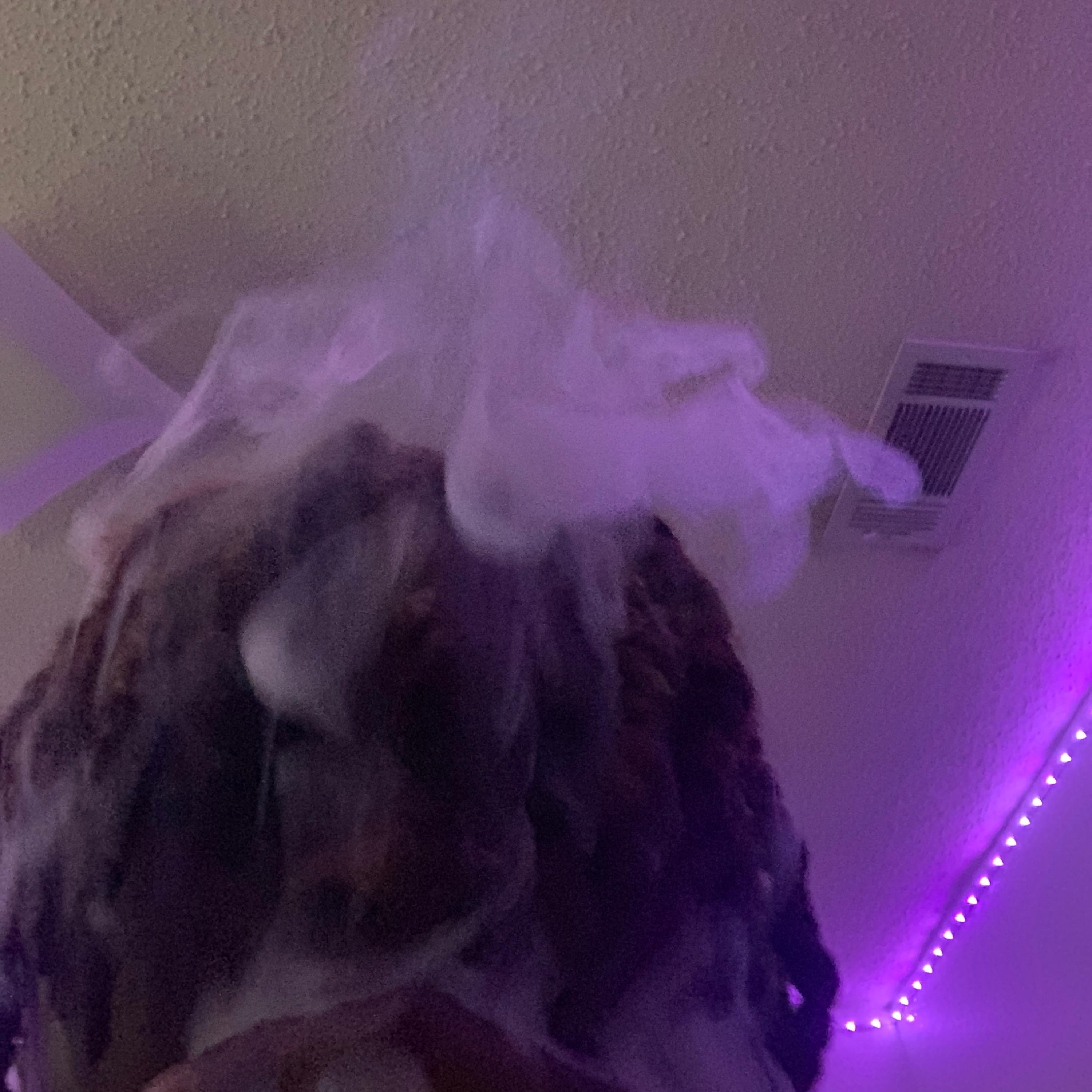 Life On Pluto artwork