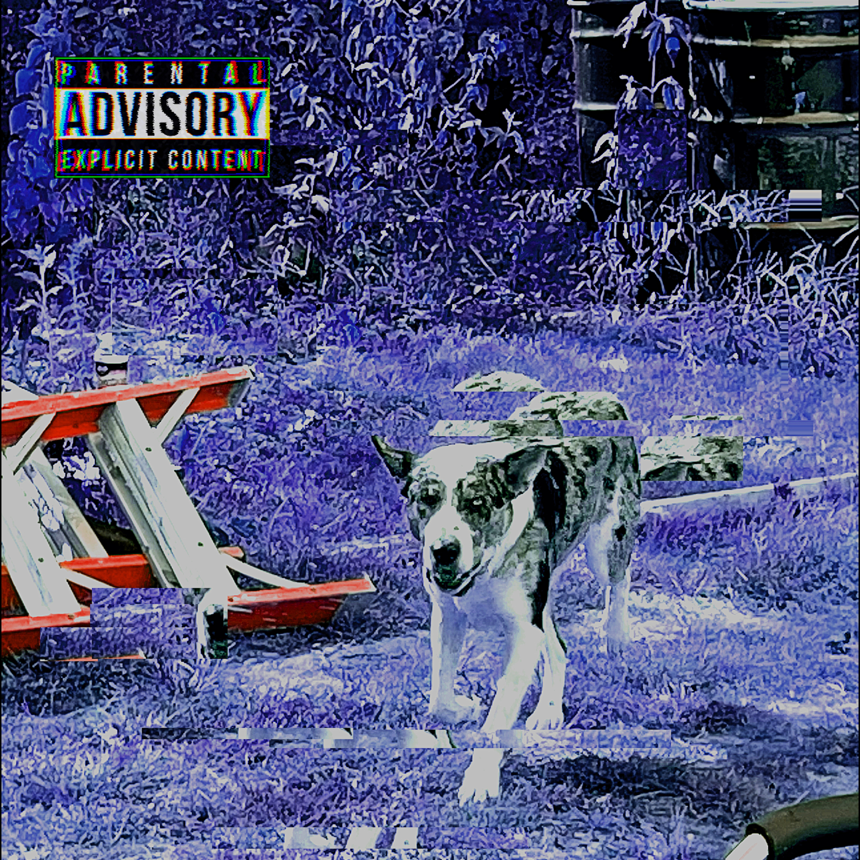 still i go on and on artwork