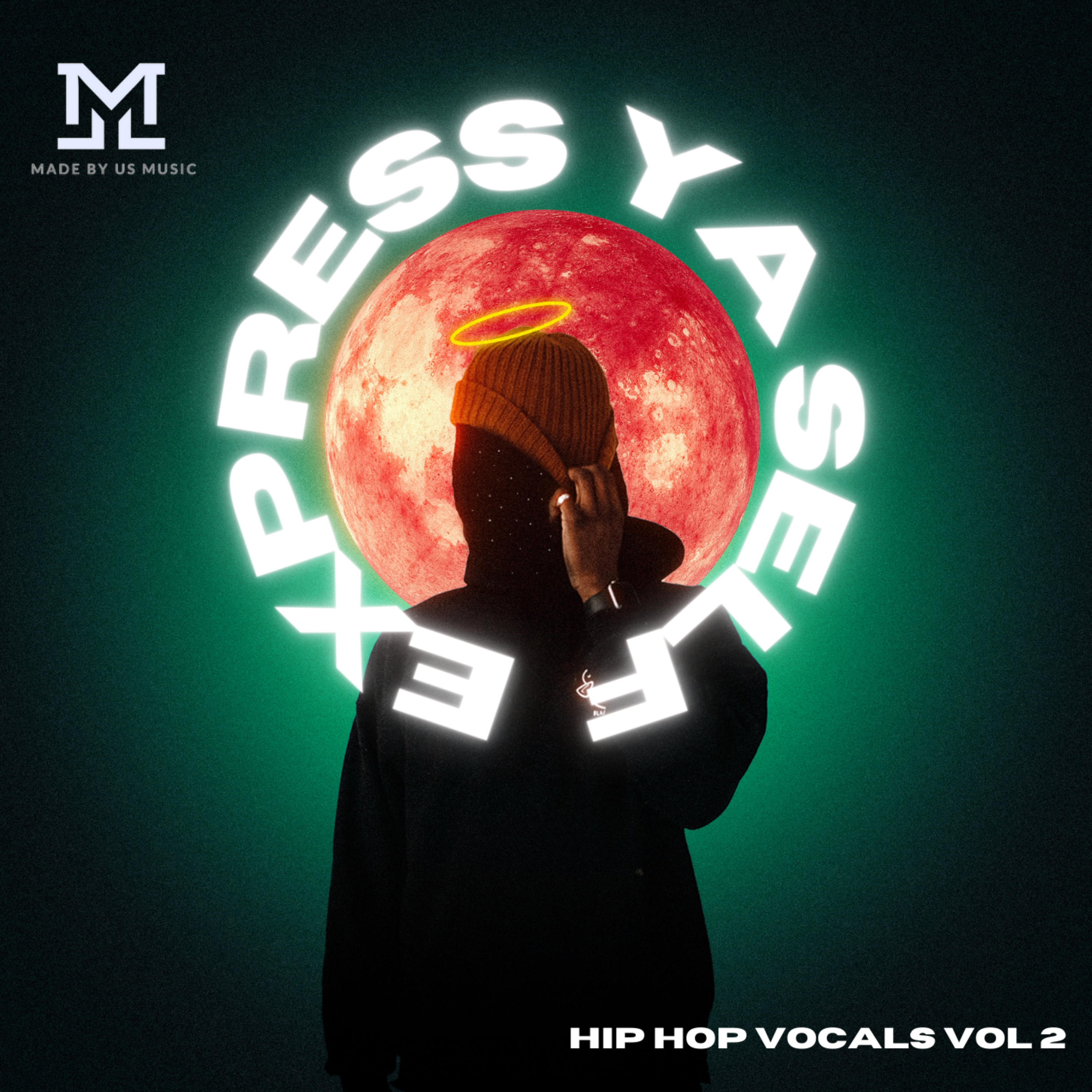 Express Ya Self (Hip Hop Vocals Vol 2) artwork