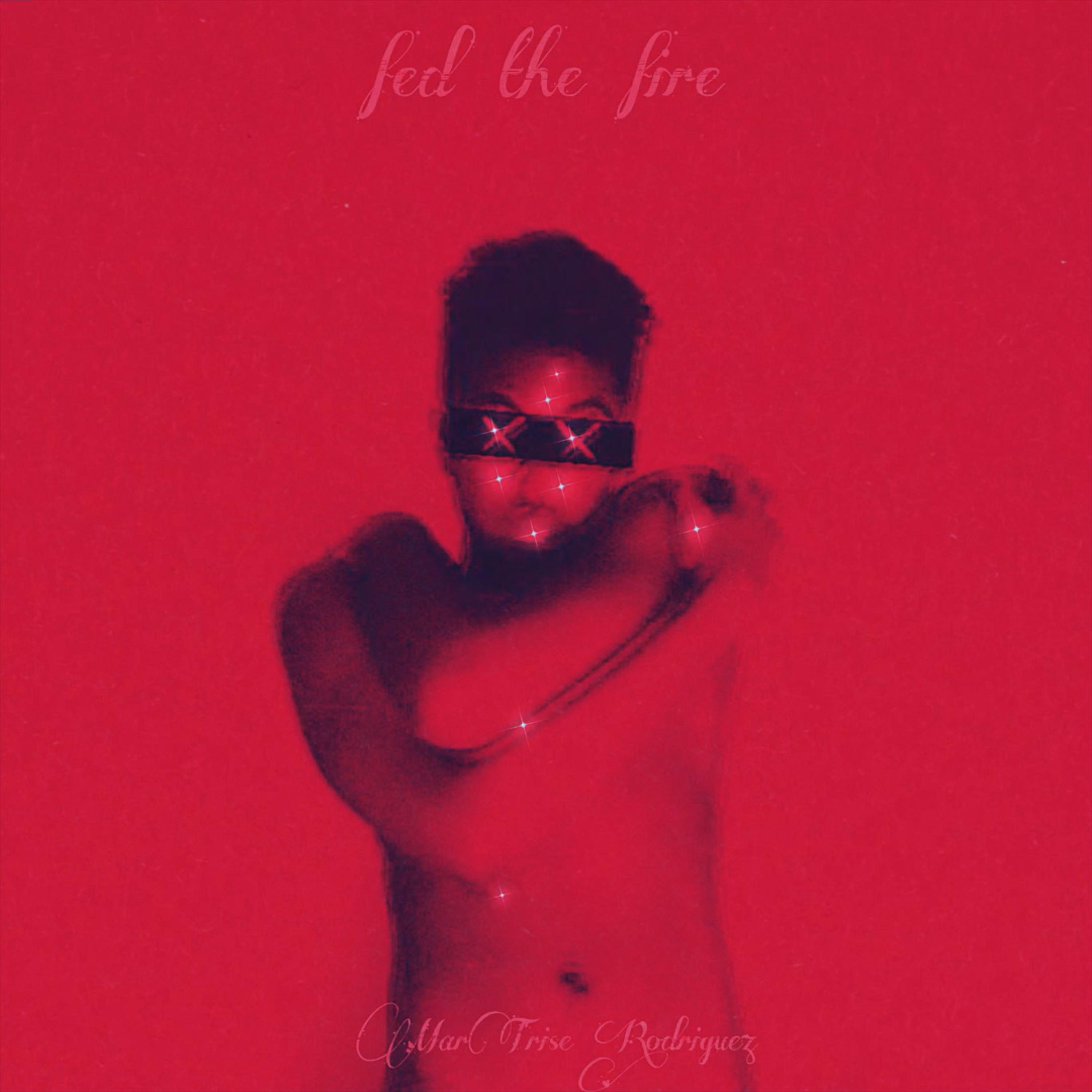 fed the fire artwork