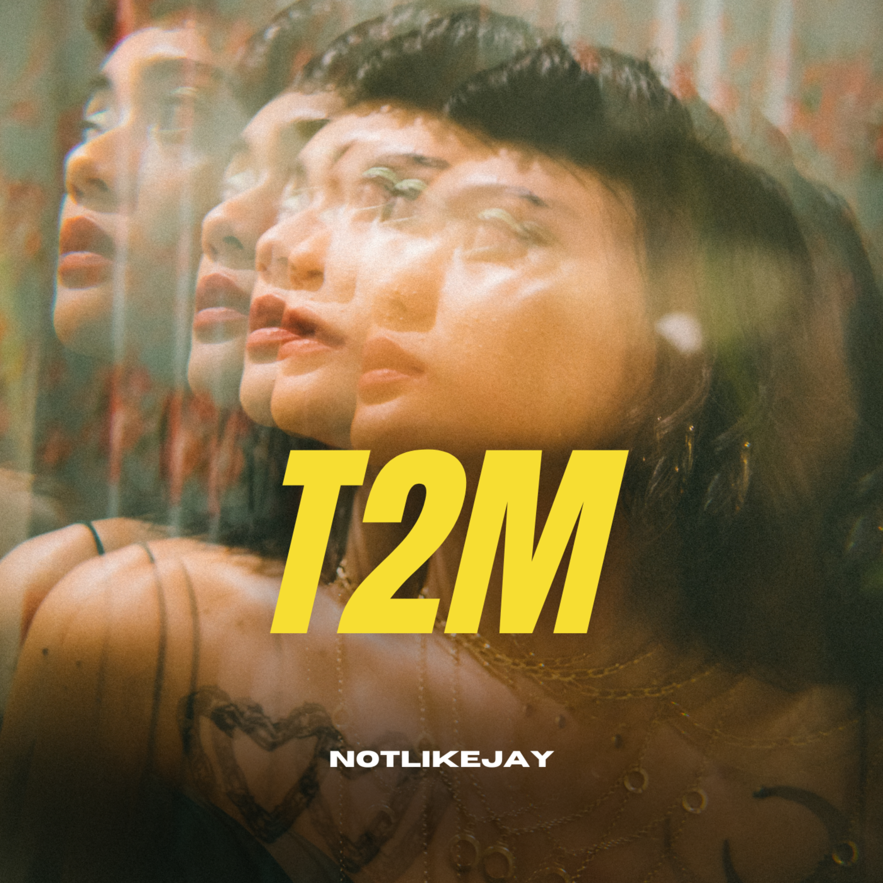 t2m artwork