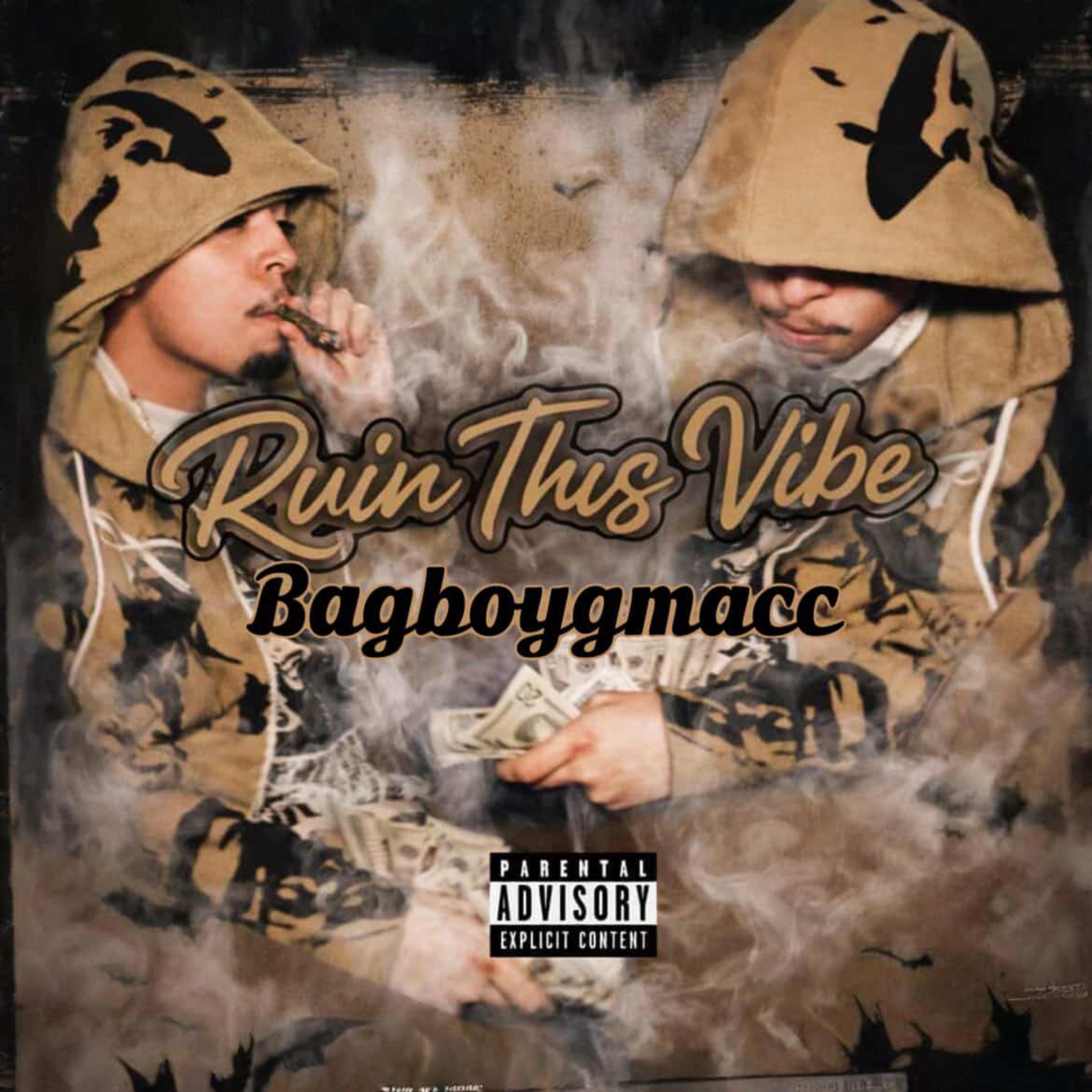 RUIN THIS VIBE artwork