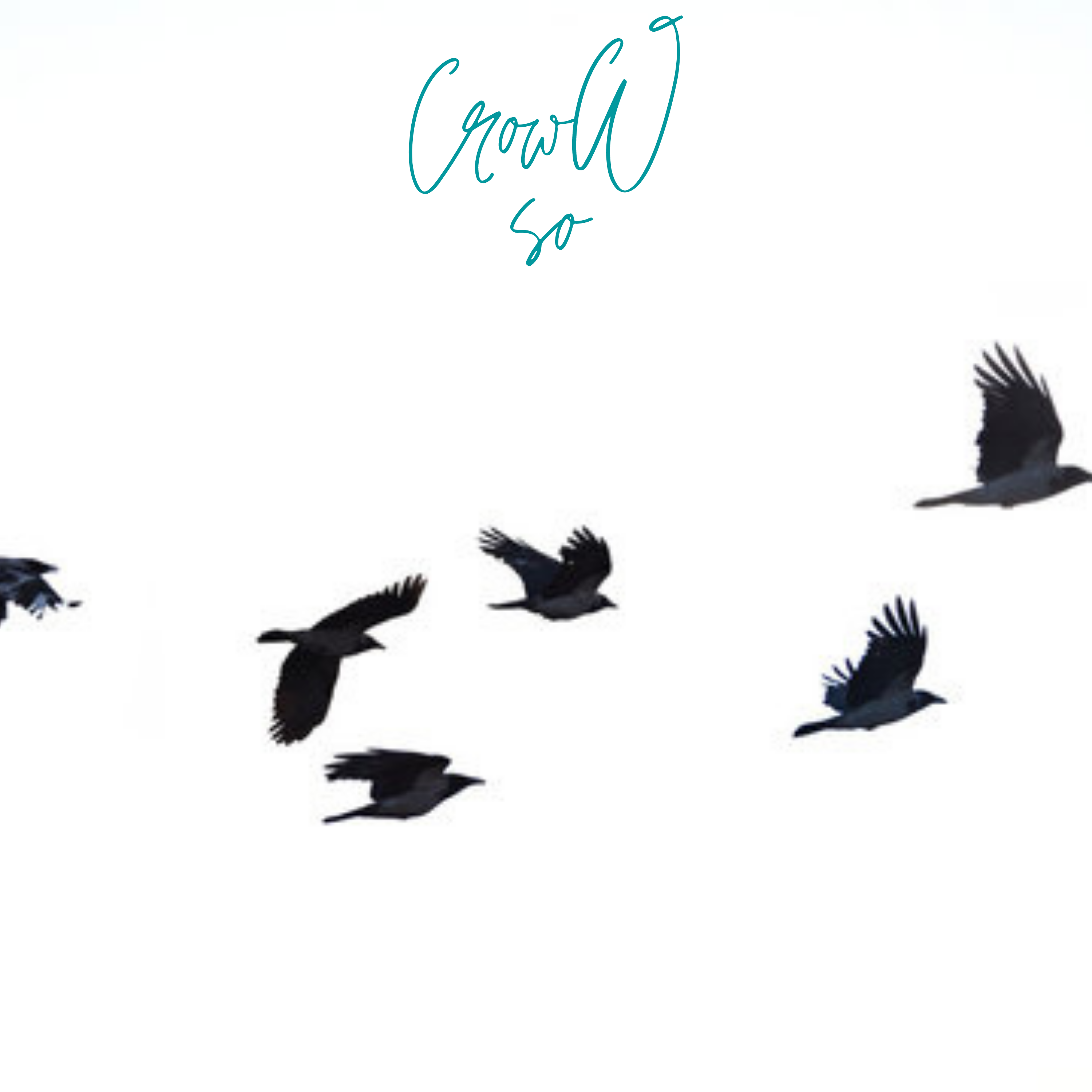 Try Me(Acoustic) by CrowWsoFly cover art