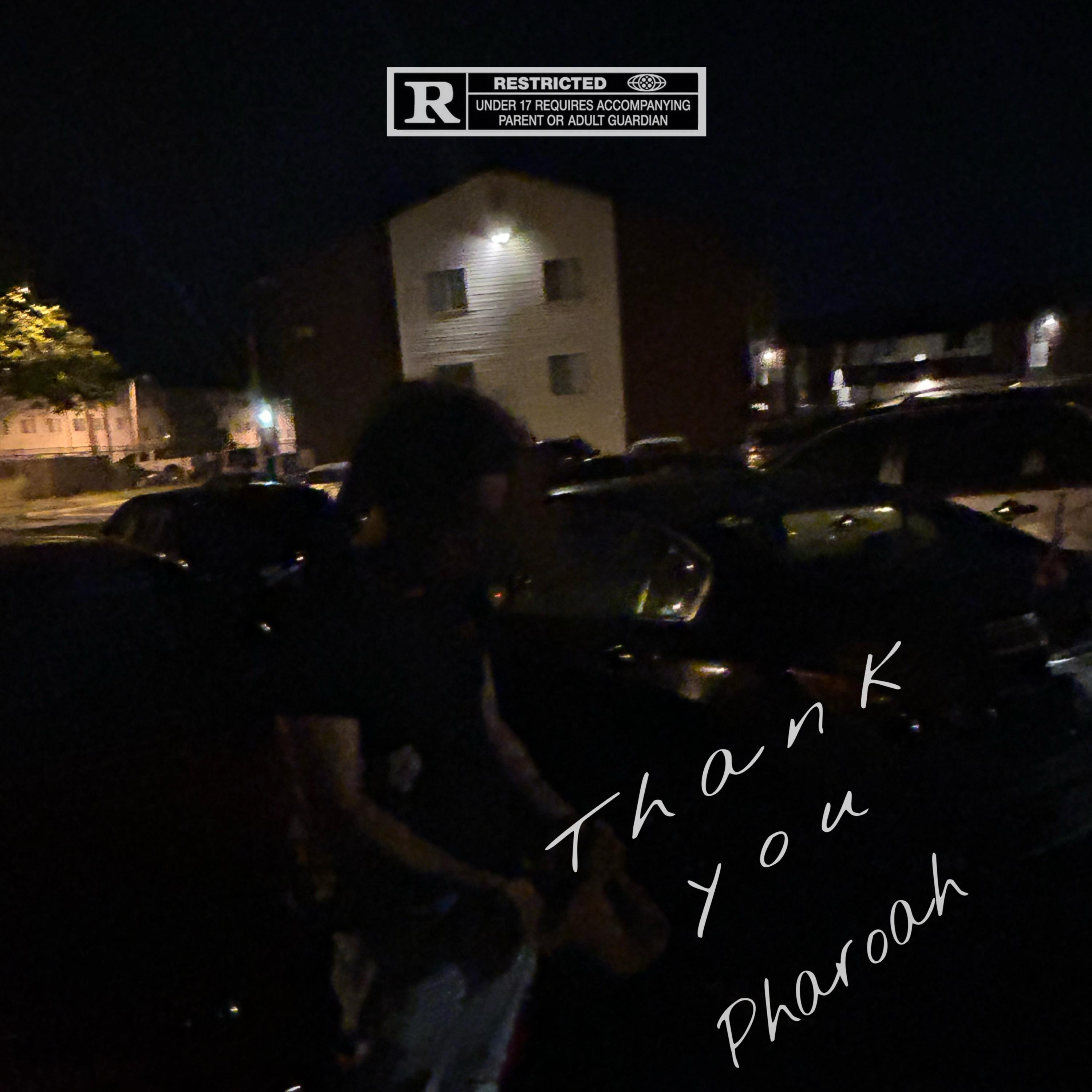 Thank You Pharoah artwork