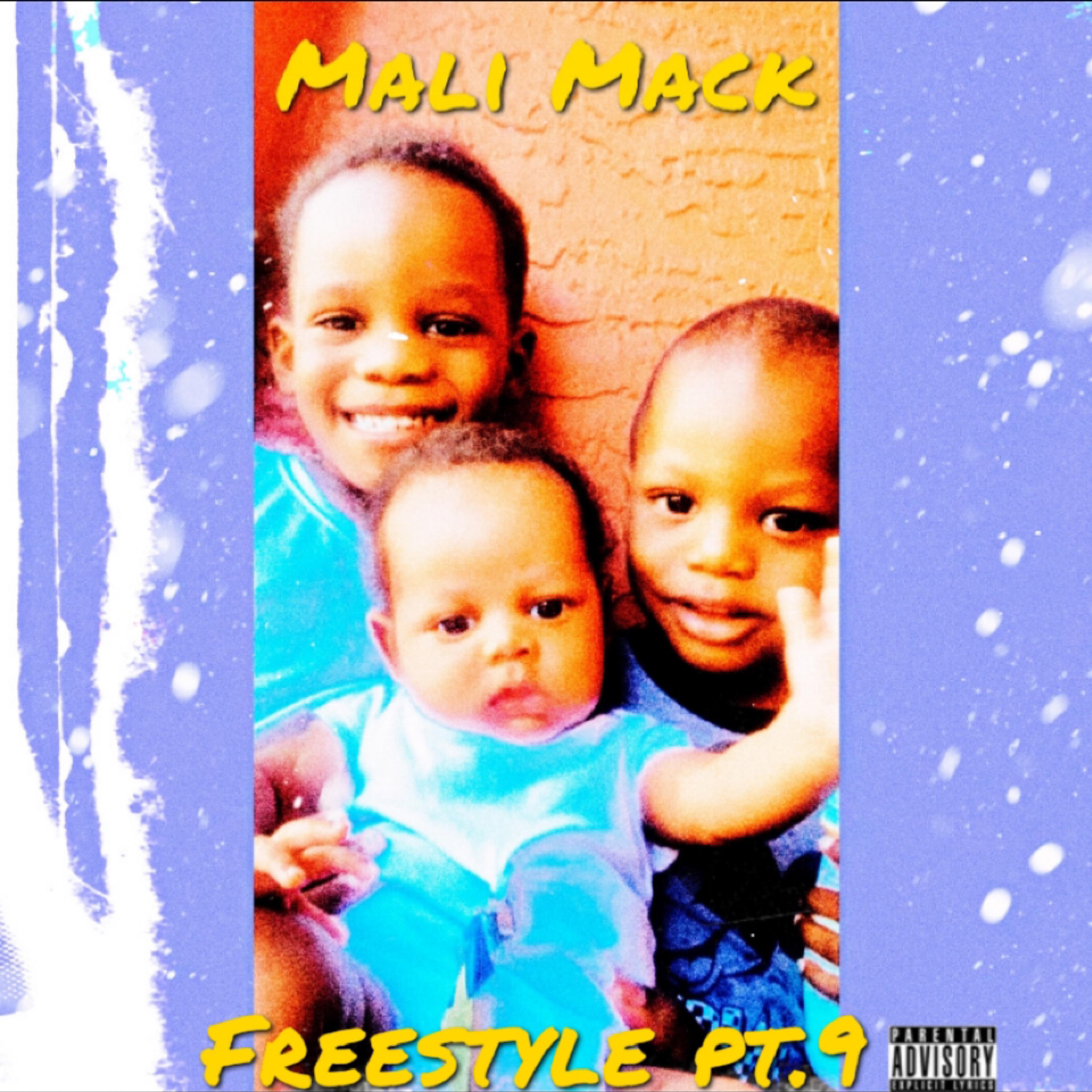 Freestyle Pt.9 artwork