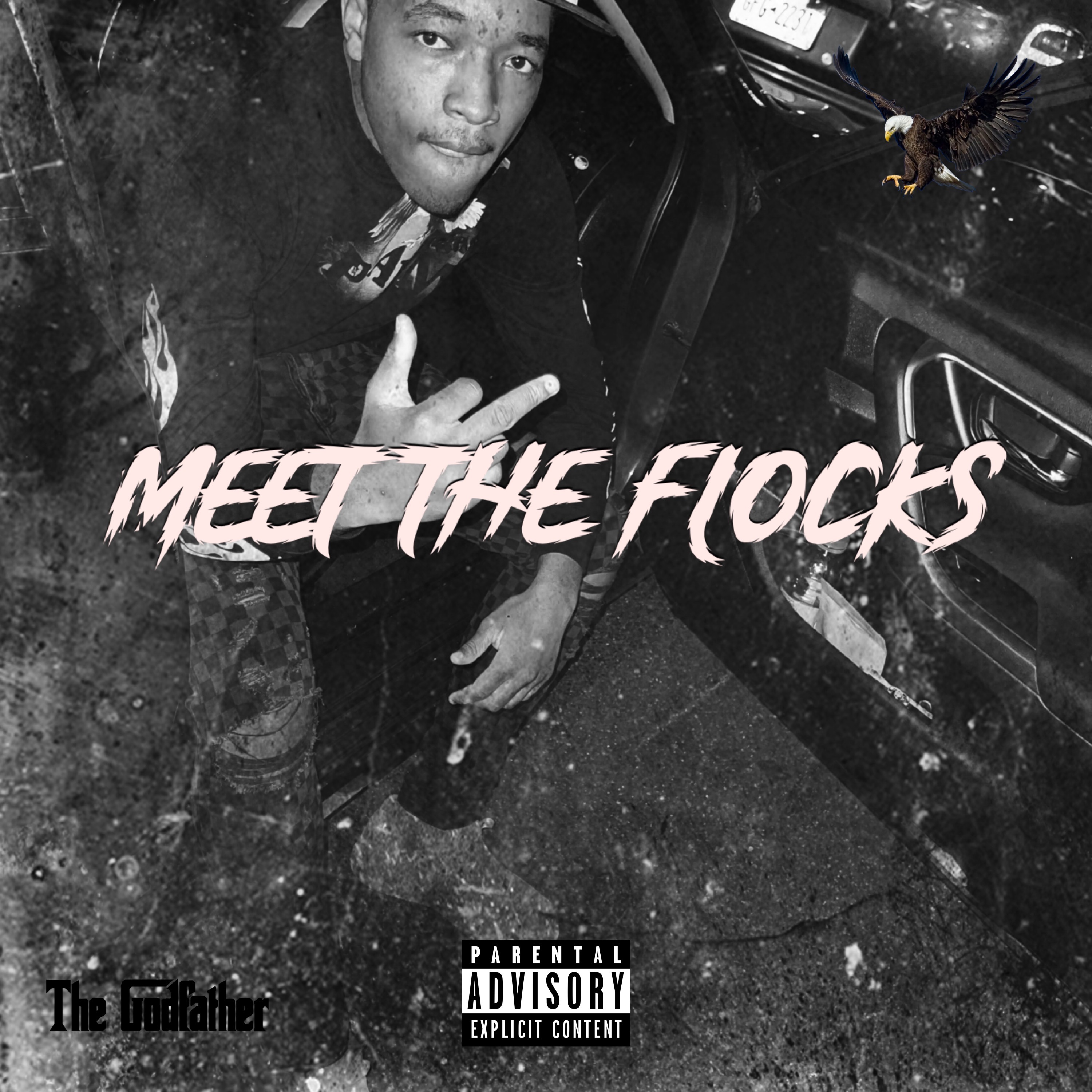 Meet The Flocks artwork