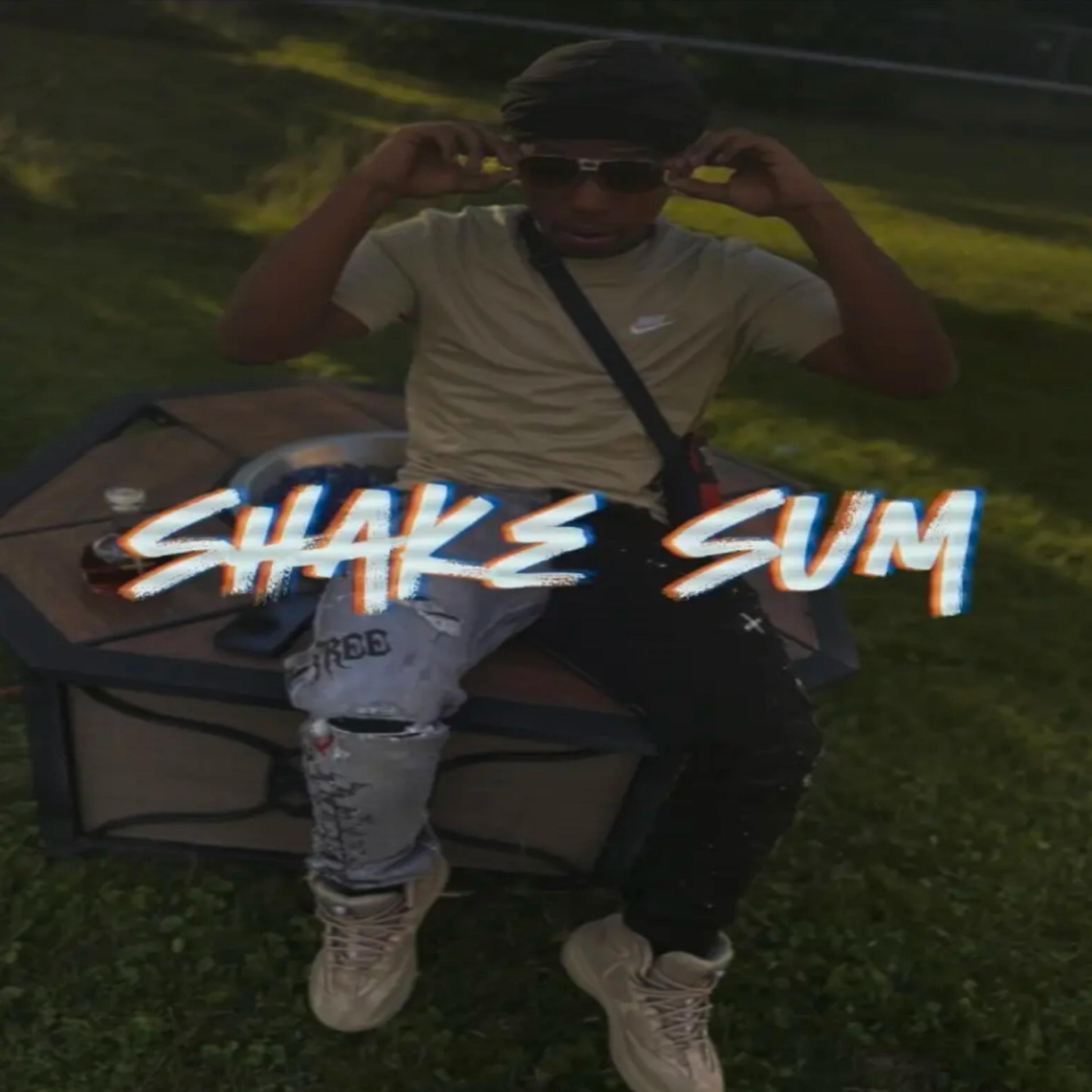 Shake Sum artwork